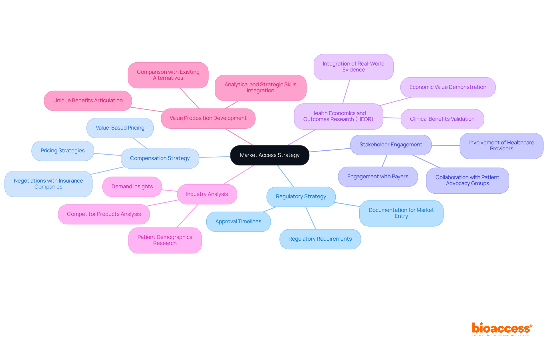 The central node represents the overall strategy, with branches showing the essential components. Each component can have its own points that explain its significance, helping readers to understand how each part contributes to the overall market access strategy.