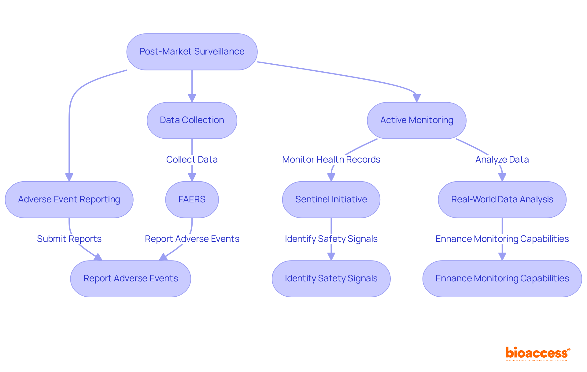 This flowchart shows how pharmaceutical companies monitor drug safety after launch. Each step represents a key action in the process, leading to better reporting and compliance.