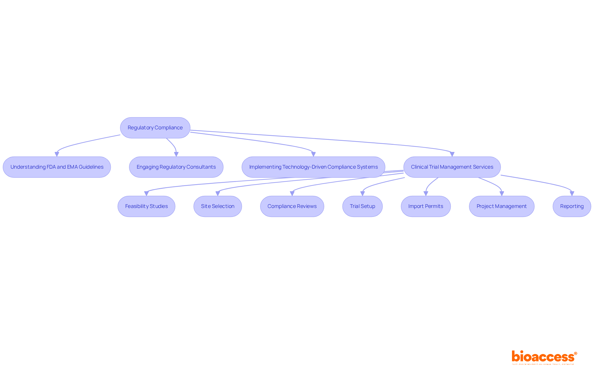 This flowchart outlines the key steps and considerations in ensuring compliance in the pharmaceutical industry. Follow the arrows to understand how each part connects to achieving successful product approvals.