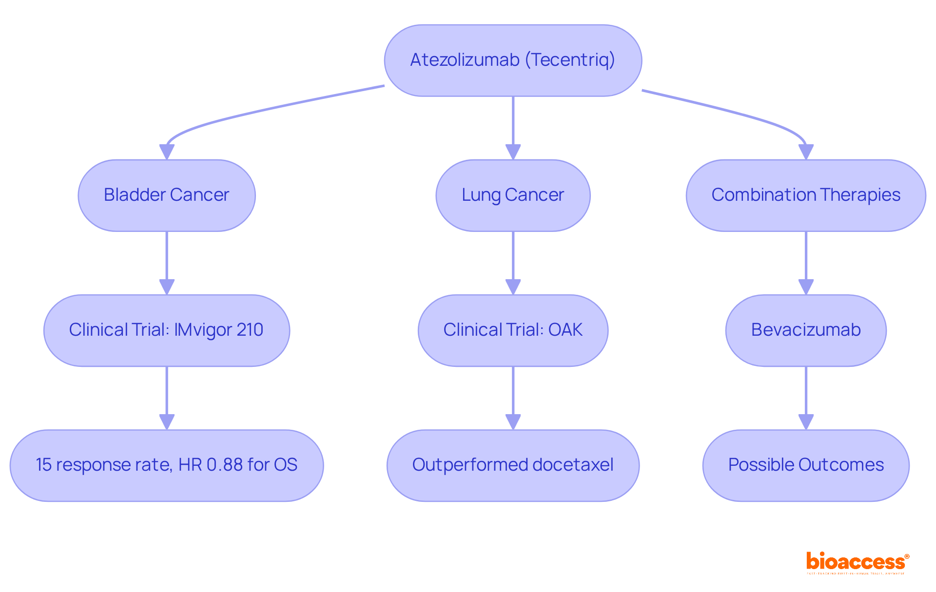 This flowchart shows how Atezolizumab is used in treating bladder and lung cancers. Follow the arrows to see trial results, response rates, and how it compares to other treatments, along with ongoing research into combination therapies. This flowchart shows how Atezolizumab is used in treating bladder and lung cancers. Follow the arrows to see trial results, response rates, and how it compares to other treatments, along with ongoing research into combination therapies.