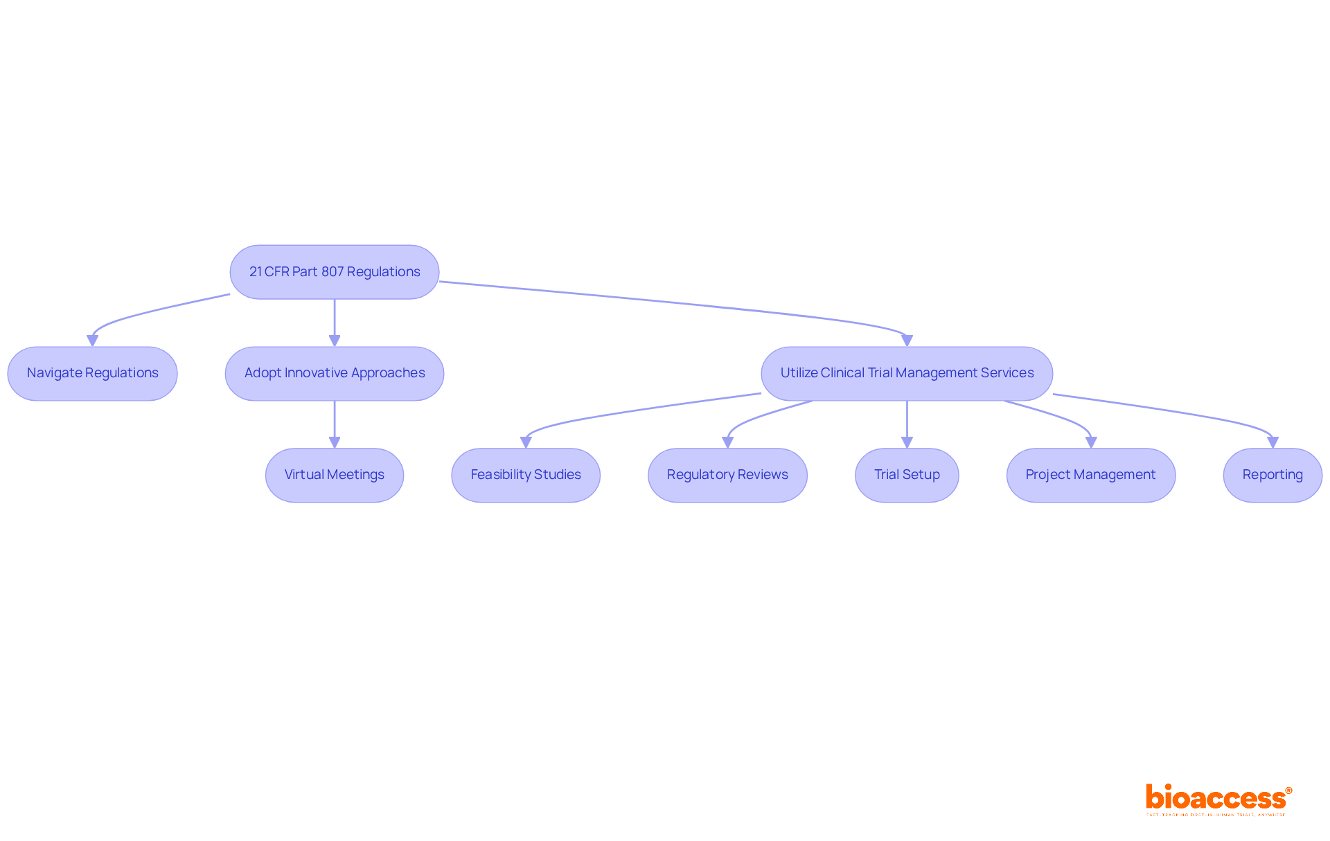 Follow the flow from regulations to actions — each box shows a step directors can take to comply with the regulations and improve their trial success. Follow the flow from regulations to actions — each box shows a step directors can take to comply with the regulations and improve their trial success.