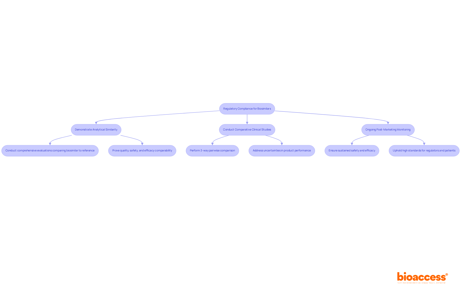 Each box represents a crucial step in ensuring biosimilars meet regulatory standards. Follow the arrows to see the order and relationship between these steps. Each box represents a crucial step in ensuring biosimilars meet regulatory standards. Follow the arrows to see the order and relationship between these steps.