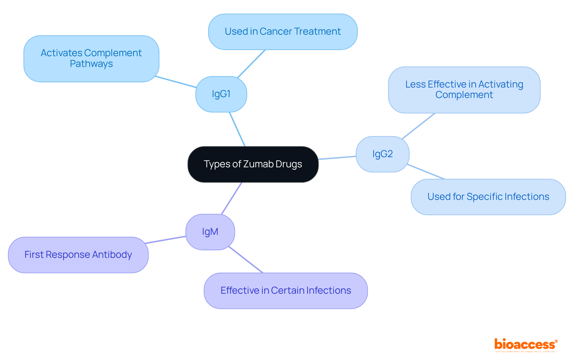 The center represents the main topic, with branches leading to different types of Zumab drugs. Each branch highlights key characteristics and uses, making it easy to compare them at a glance. The center represents the main topic, with branches leading to different types of Zumab drugs. Each branch highlights key characteristics and uses, making it easy to compare them at a glance.