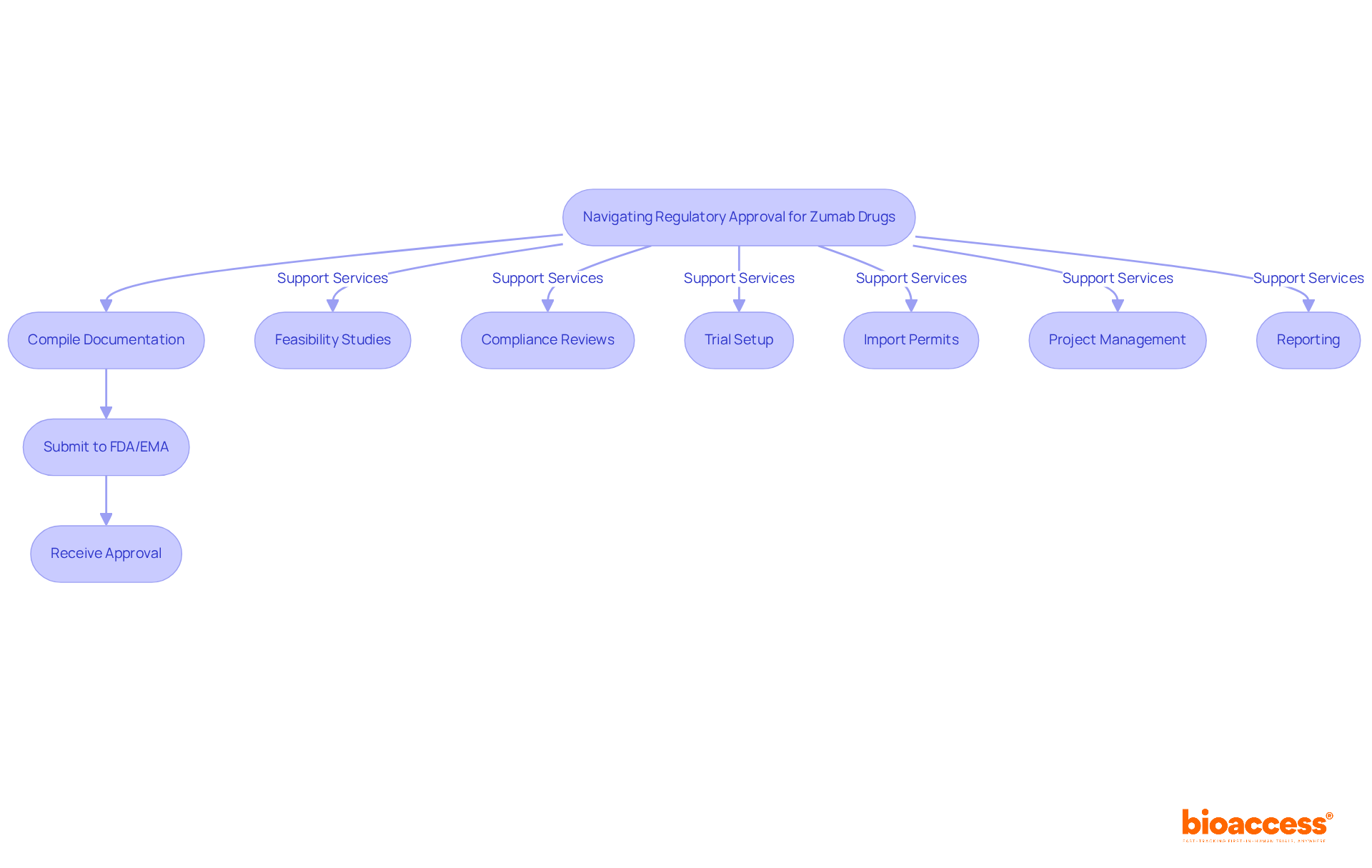 This flowchart shows the steps and services involved in getting zumab drugs approved. Each box represents an action to take or a service to consider, helping you visualize the path to regulatory compliance. This flowchart shows the steps and services involved in getting zumab drugs approved. Each box represents an action to take or a service to consider, helping you visualize the path to regulatory compliance.