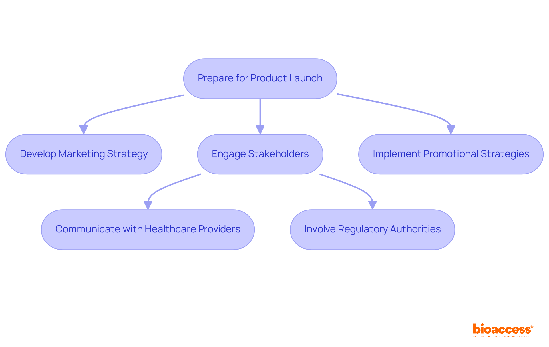 Each box represents a step in the product launch process. Follow the arrows to understand how each step connects and leads to the next stage. Each box represents a step in the product launch process. Follow the arrows to understand how each step connects and leads to the next stage.