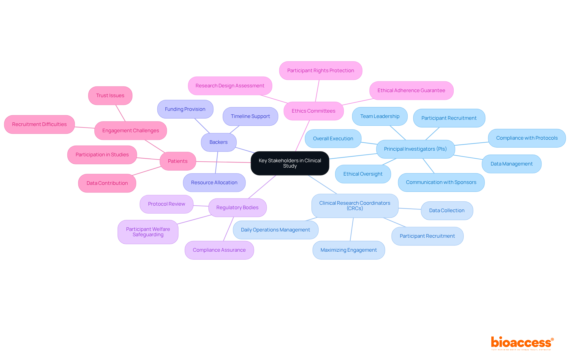 The central node represents the main topic, while each branch shows a different stakeholder. Follow the sub-branches to understand what each stakeholder does and how they contribute to the clinical study.