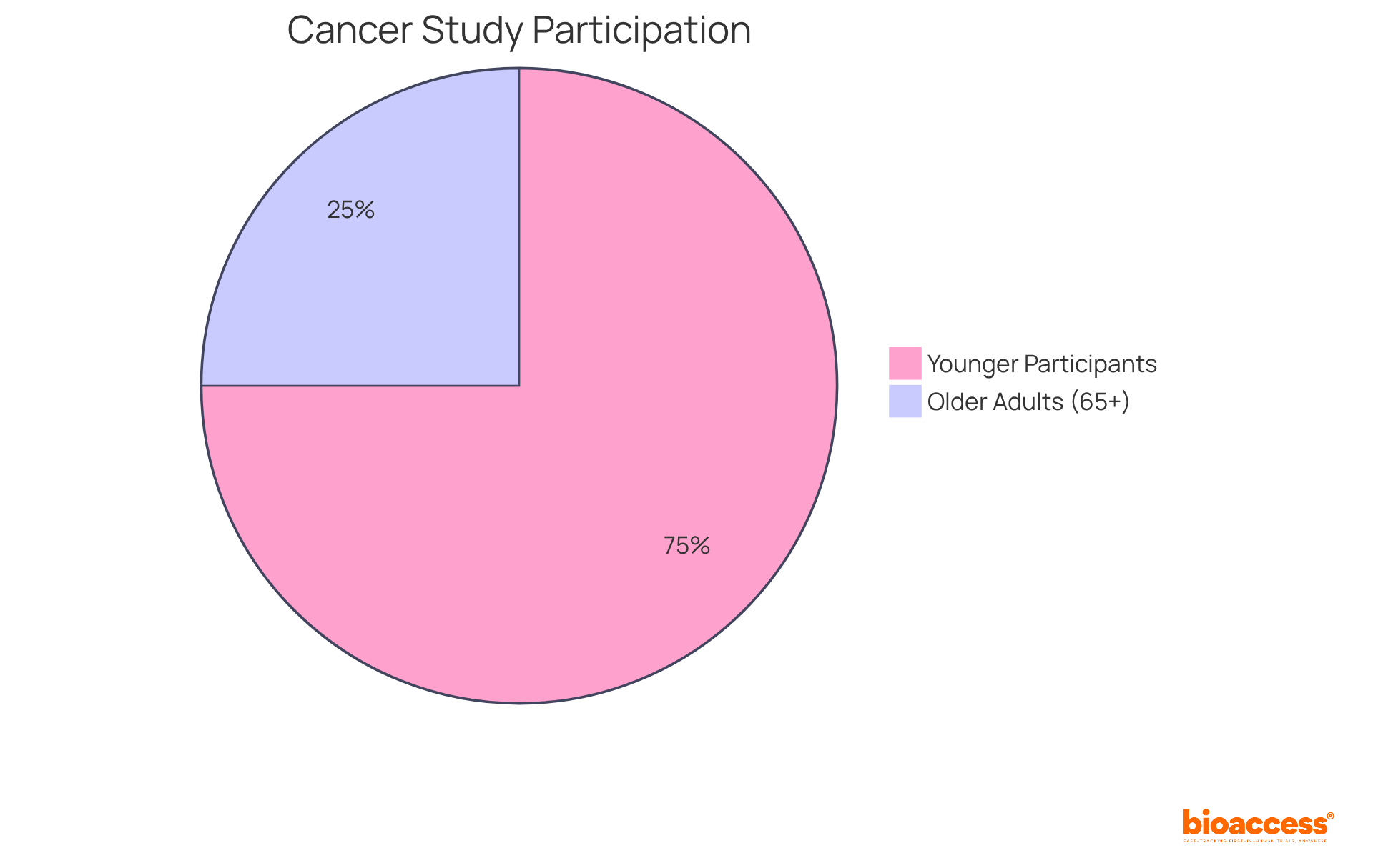 This chart shows how many older adults (65 and over) are participating in cancer studies compared to younger participants. The blue slice represents older adults, while the orange slice shows younger participants.