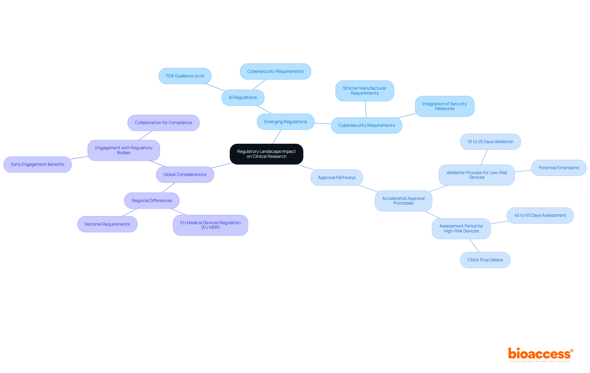 The central node represents the overall theme, while the branches show different areas of focus. Each sub-branch provides more detail on specific regulations or strategies, making it easy to see how they all connect.