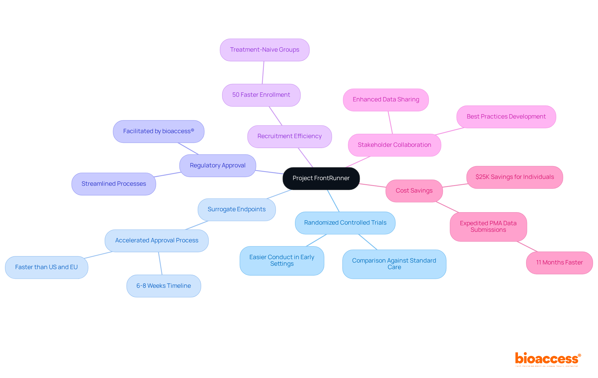 The central node represents the project, while the branches highlight different features. Each sub-point gives additional details — explore the branches to understand how everything connects! The central node represents the project, while the branches highlight different features. Each sub-point gives additional details — explore the branches to understand how everything connects!