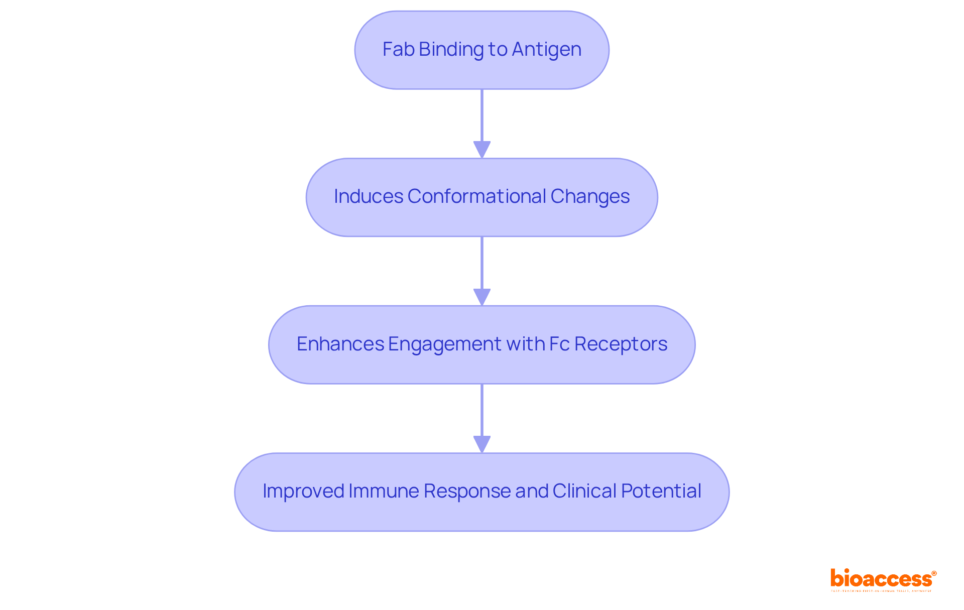 This flowchart shows how the Fab region's binding to an antigen triggers changes that enhance its interaction with the Fc region, ultimately improving immune responses and treatment outcomes. This flowchart shows how the Fab region's binding to an antigen triggers changes that enhance its interaction with the Fc region, ultimately improving immune responses and treatment outcomes.