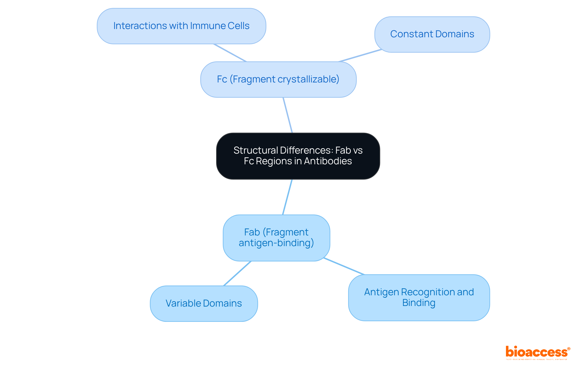 The central node represents the main topic, while the branches show the two regions of antibodies. Each sub-point under the branches explains the specific roles and characteristics of Fab and Fc, helping you grasp their importance in immune responses. The central node represents the main topic, while the branches show the two regions of antibodies. Each sub-point under the branches explains the specific roles and characteristics of Fab and Fc, helping you grasp their importance in immune responses.