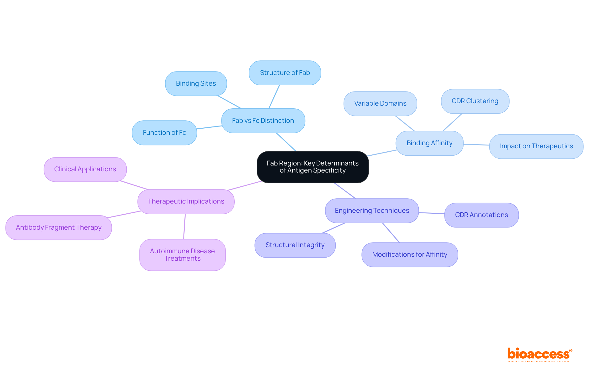 The central node represents the main topic, while branches illustrate key areas of focus. Each subtopic provides deeper insights into the Fab region's role in immunoglobulin specificity and therapeutic development. The central node represents the main topic, while branches illustrate key areas of focus. Each subtopic provides deeper insights into the Fab region's role in immunoglobulin specificity and therapeutic development.