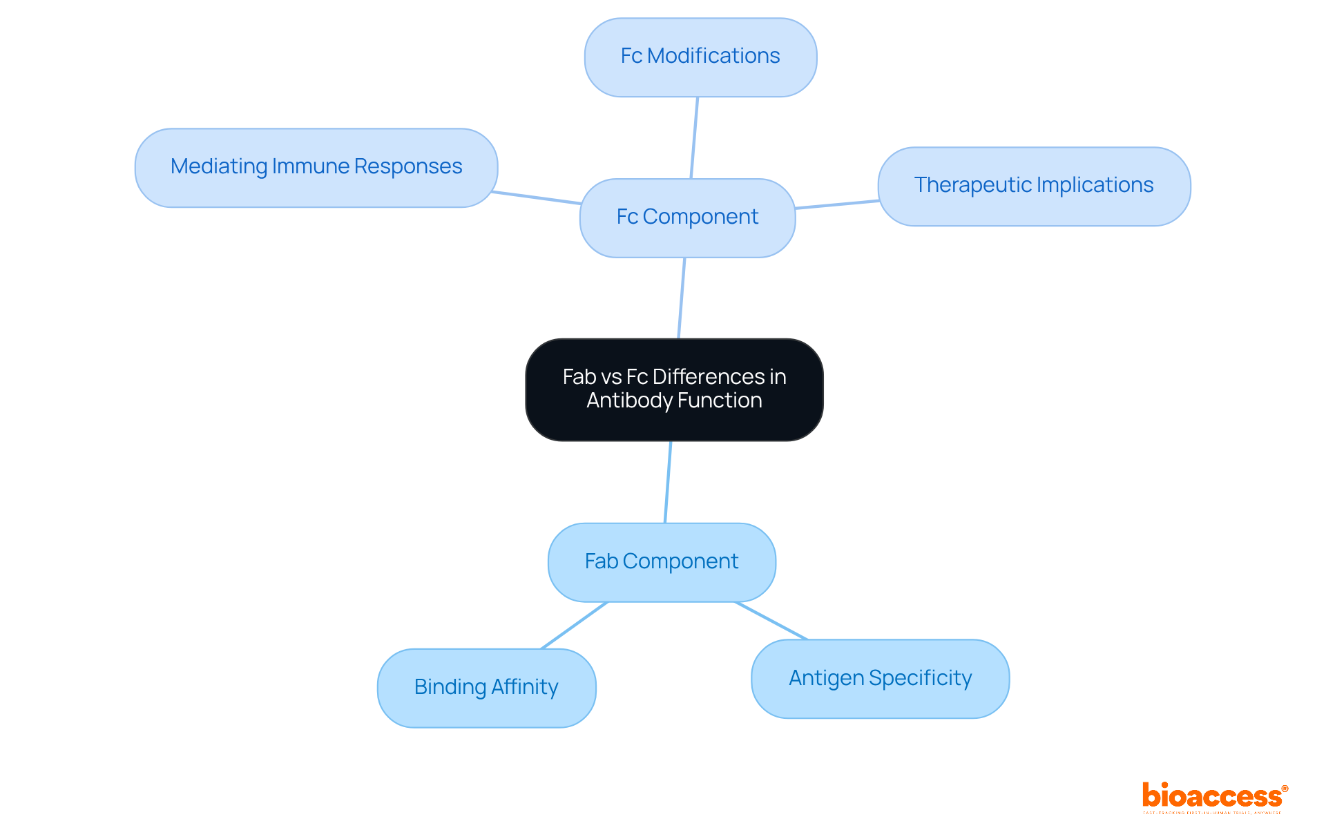 The central node represents the overall topic, while the branches show the distinct roles of Fab and Fc components. Each sub-branch provides specific details about their functions and implications for therapy. The central node represents the overall topic, while the branches show the distinct roles of Fab and Fc components. Each sub-branch provides specific details about their functions and implications for therapy.