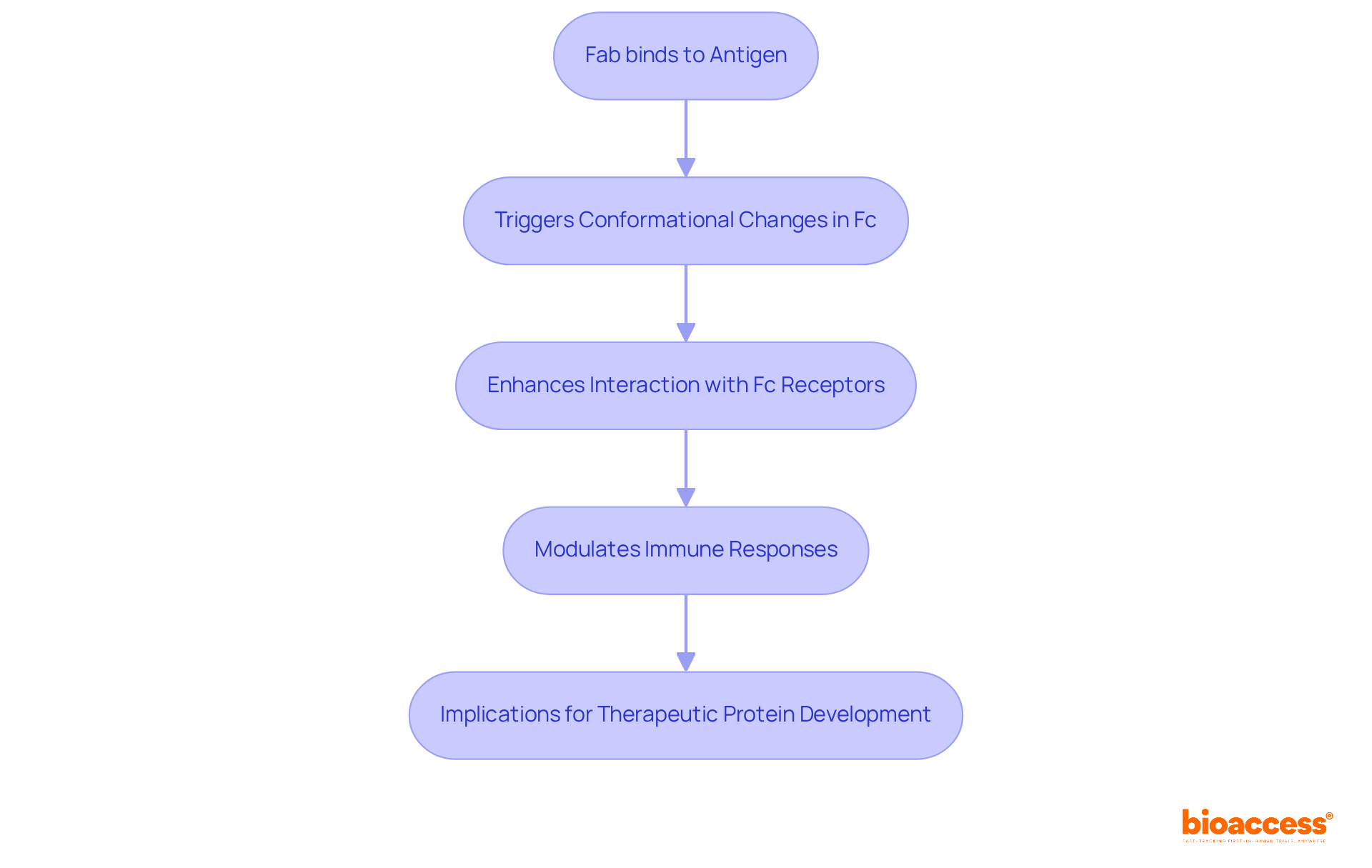 This flowchart shows how the binding of Fab to an antigen leads to changes in the Fc region, affecting immune responses and therapeutic design. Follow the arrows to understand the sequence of interactions and their implications. This flowchart shows how the binding of Fab to an antigen leads to changes in the Fc region, affecting immune responses and therapeutic design. Follow the arrows to understand the sequence of interactions and their implications.