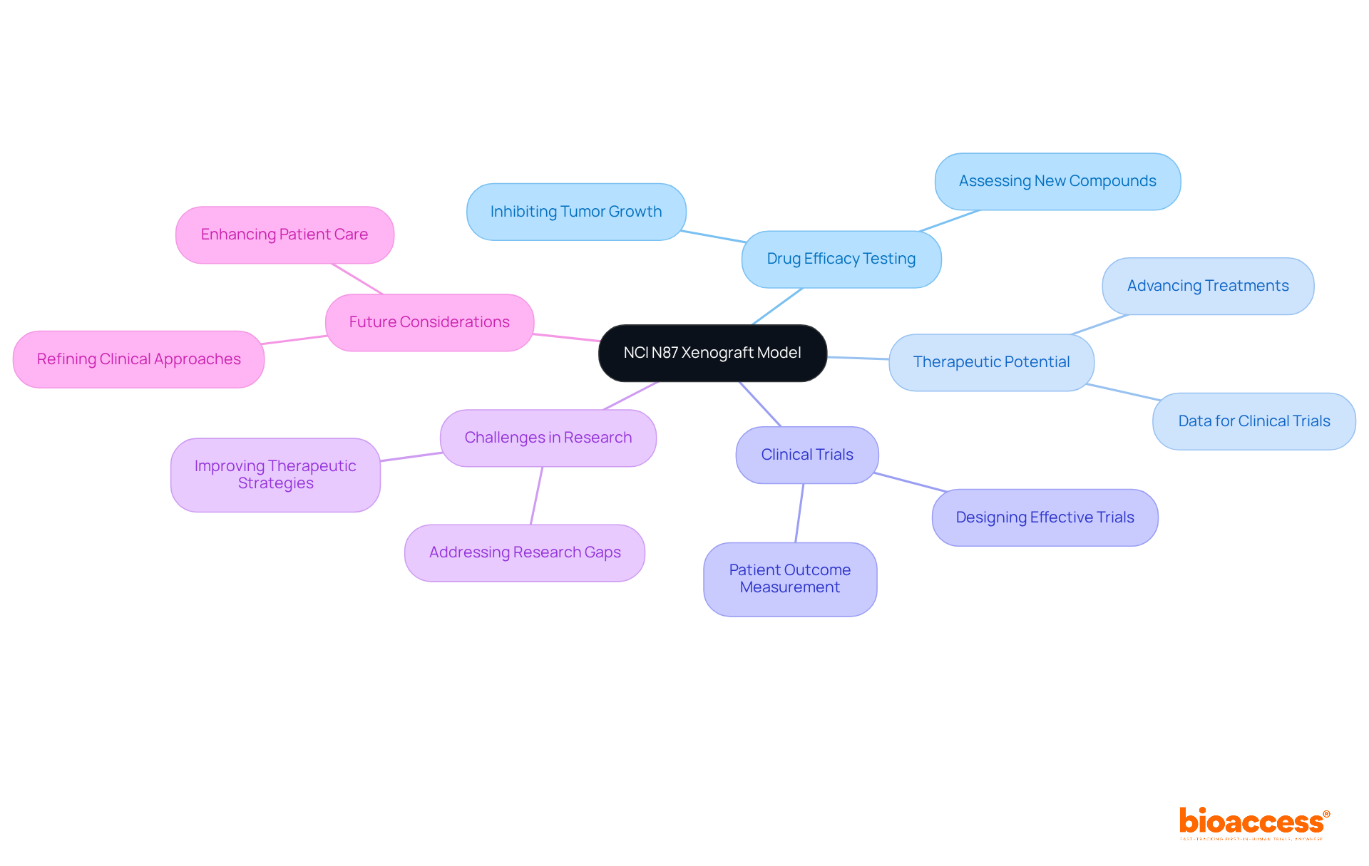 The central node represents the NCI N87 model, while the branches illustrate its various roles and impacts in cancer research. Each color-coded branch helps you see how different aspects connect back to the main idea.