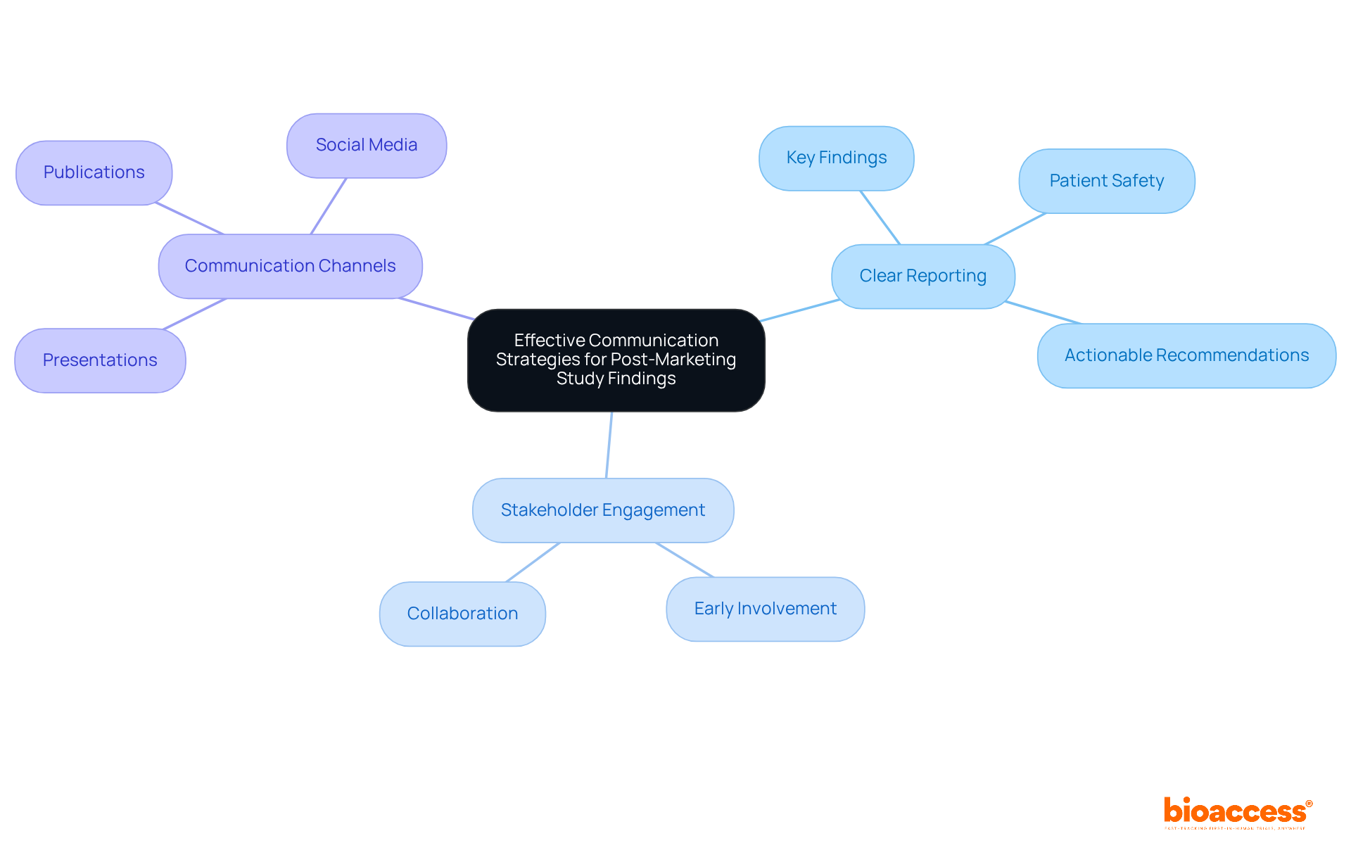 Start at the center with the main theme, then explore each branch to see the strategies and their components. Each color represents a different strategy area, making it easy to distinguish between them. Start at the center with the main theme, then explore each branch to see the strategies and their components. Each color represents a different strategy area, making it easy to distinguish between them.