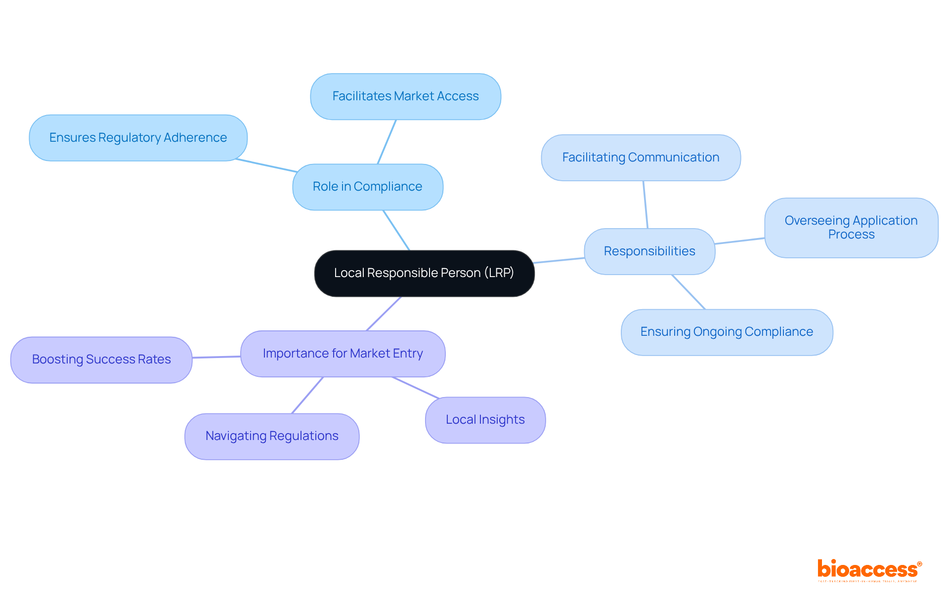 The center represents the LRP's main role, while the branches show their specific responsibilities and why they are crucial for compliance and market entry. The center represents the LRP's main role, while the branches show their specific responsibilities and why they are crucial for compliance and market entry.
