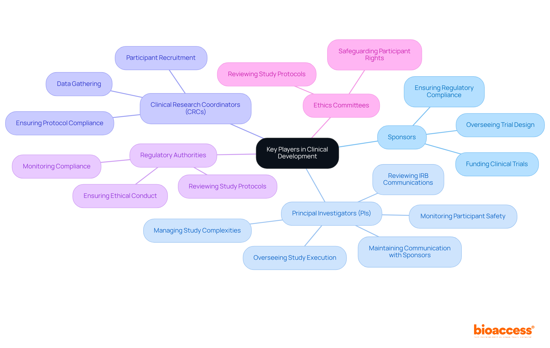 The central node represents the clinical development process, while each branch shows a key player and their responsibilities. The sub-nodes provide more detail about what each role entails, helping you understand how they contribute to successful clinical trials. The central node represents the clinical development process, while each branch shows a key player and their responsibilities. The sub-nodes provide more detail about what each role entails, helping you understand how they contribute to successful clinical trials.