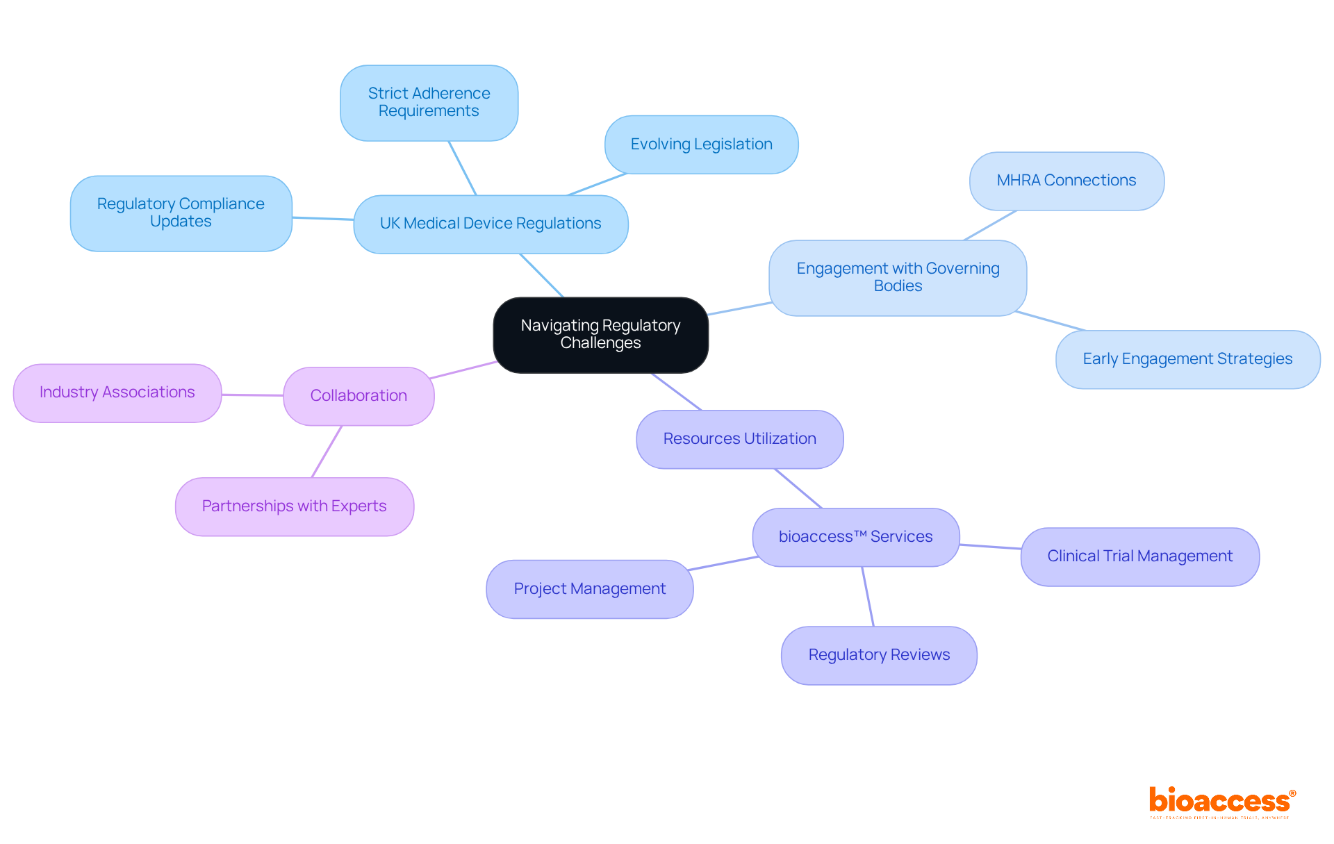 The central node represents the main topic, while branches show key areas of focus. Each sub-branch provides specific insights or actions that can help innovators navigate regulatory challenges effectively.