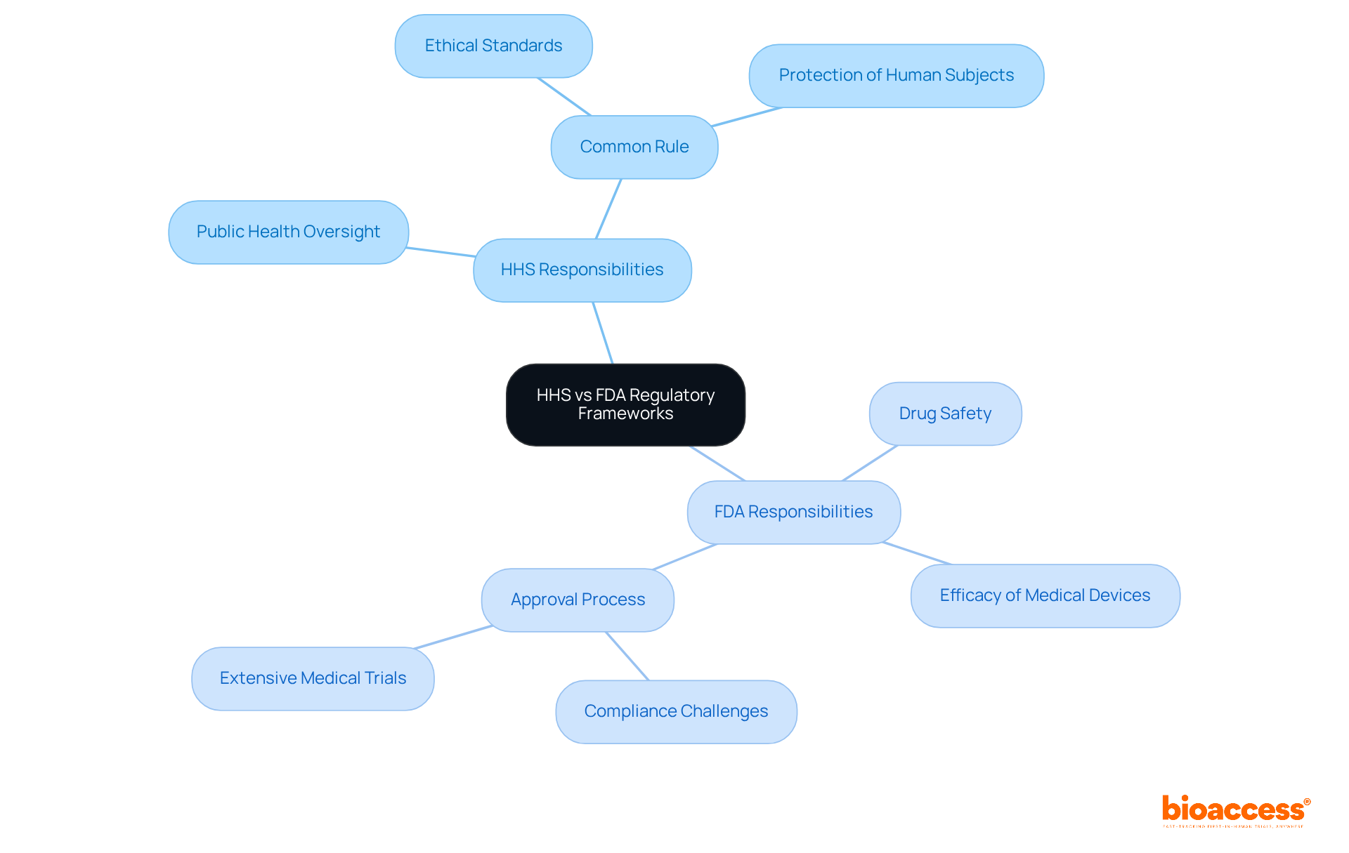 The central node represents the comparison of HHS and FDA. Each branch shows the specific responsibilities of each agency, with sub-branches detailing their roles in medical research and compliance challenges.