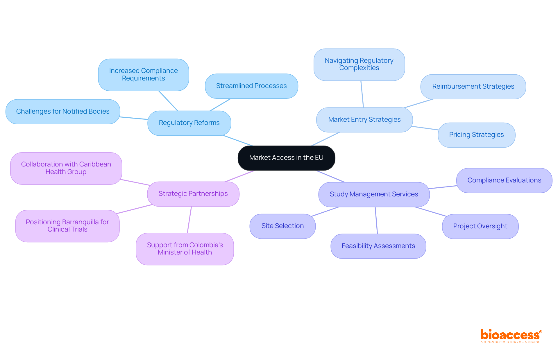 The central node represents the main topic, while the branches show different areas of focus. Each sub-branch provides more detail about specific strategies and partnerships, helping you understand how they connect to the overall market access theme.