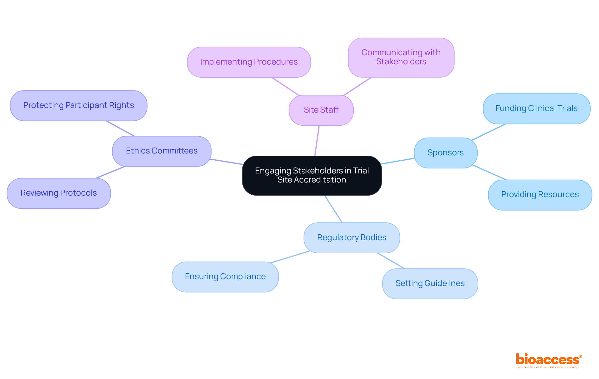 The central node represents the main topic, while the branches show the key stakeholders involved. Each branch can be explored to understand their specific roles and how they contribute to the accreditation process. The central node represents the main topic, while the branches show the key stakeholders involved. Each branch can be explored to understand their specific roles and how they contribute to the accreditation process.