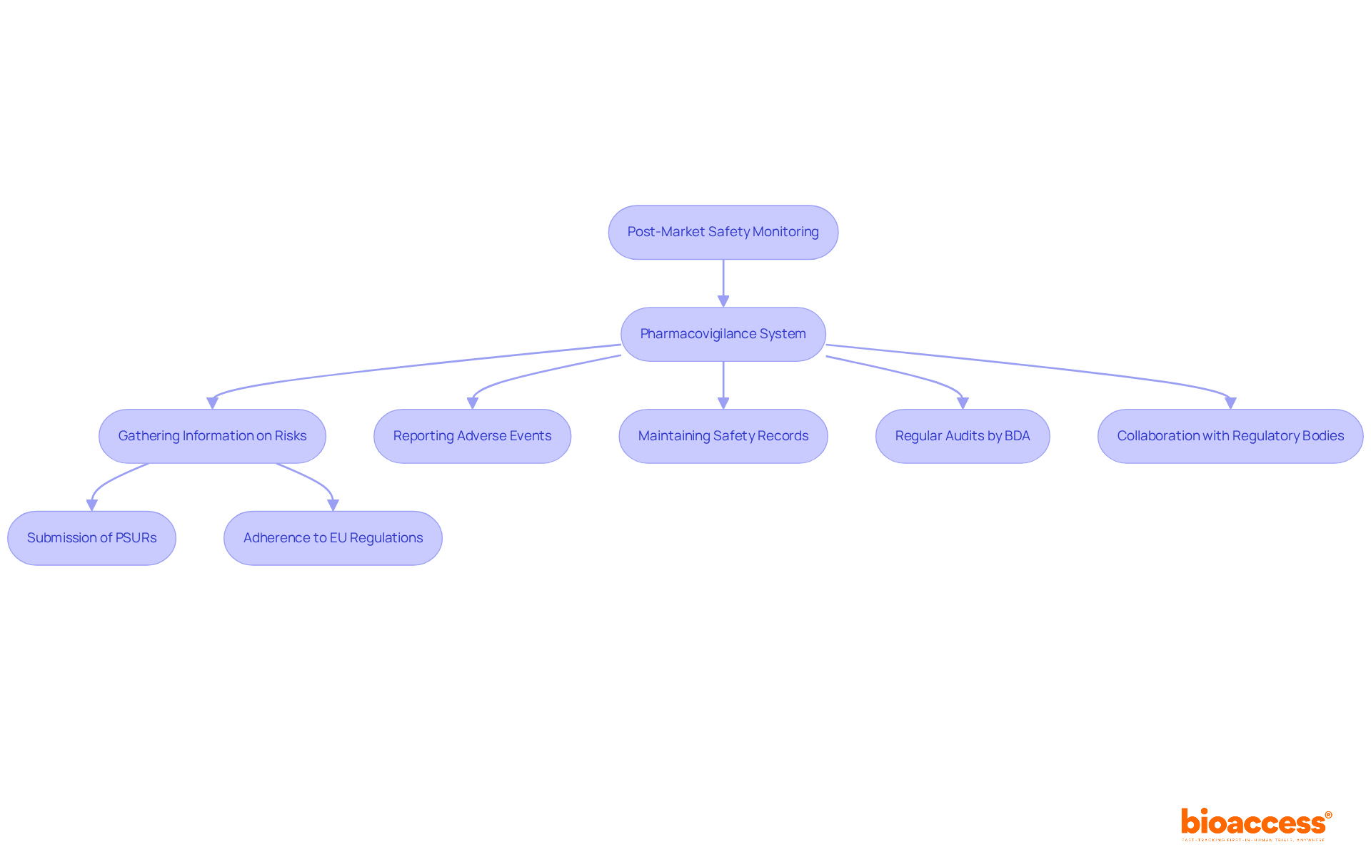 This flowchart outlines the steps necessary for ensuring compliance with regulatory requirements in Bulgaria. Each box represents a key action or requirement, and the arrows indicate the order in which these steps should be followed. This flowchart outlines the steps necessary for ensuring compliance with regulatory requirements in Bulgaria. Each box represents a key action or requirement, and the arrows indicate the order in which these steps should be followed.