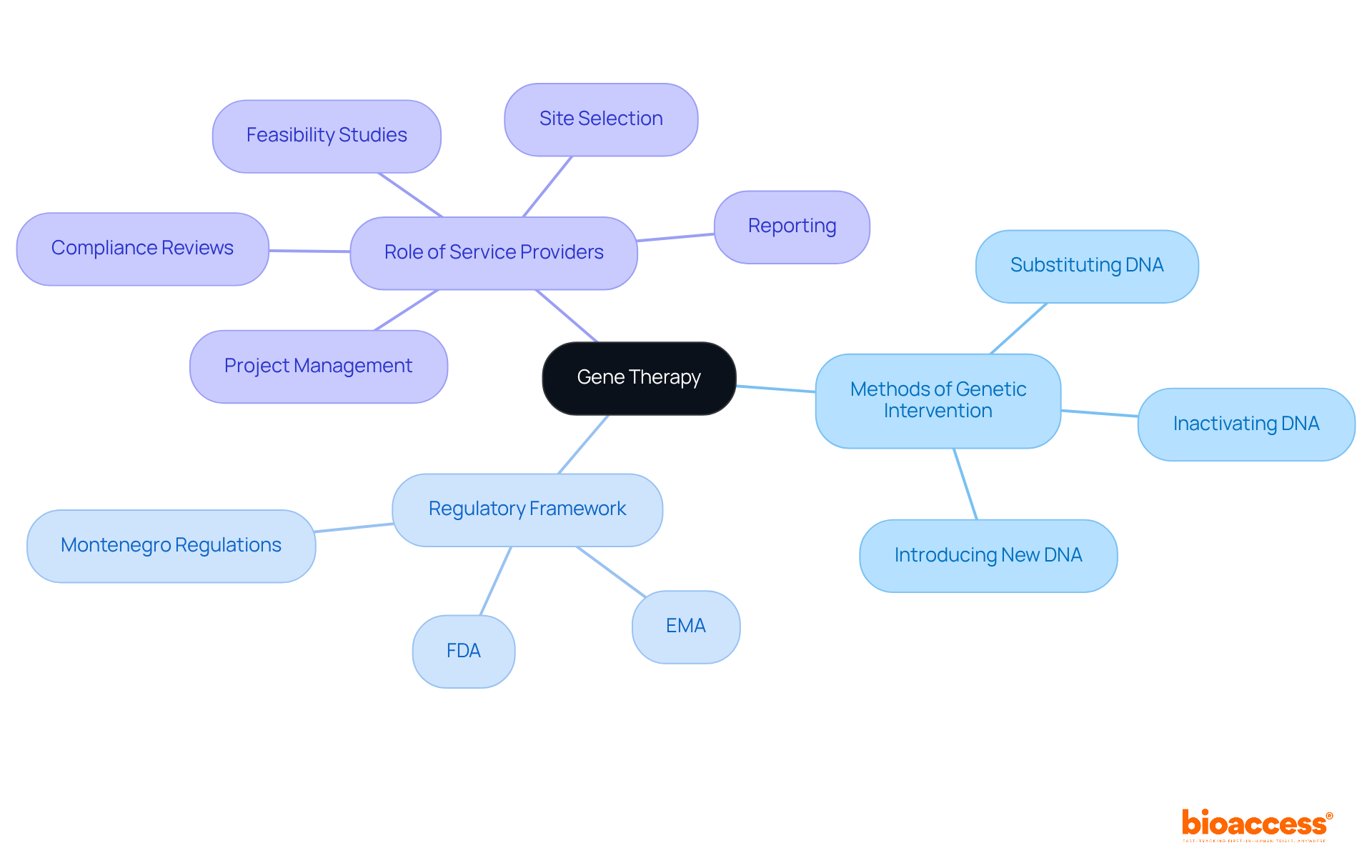 The central node represents gene therapy, with branches showing different methods, regulations, and the role of service providers. Each color-coded branch helps you see how these elements connect and support the overall understanding of gene therapy. The central node represents gene therapy, with branches showing different methods, regulations, and the role of service providers. Each color-coded branch helps you see how these elements connect and support the overall understanding of gene therapy.