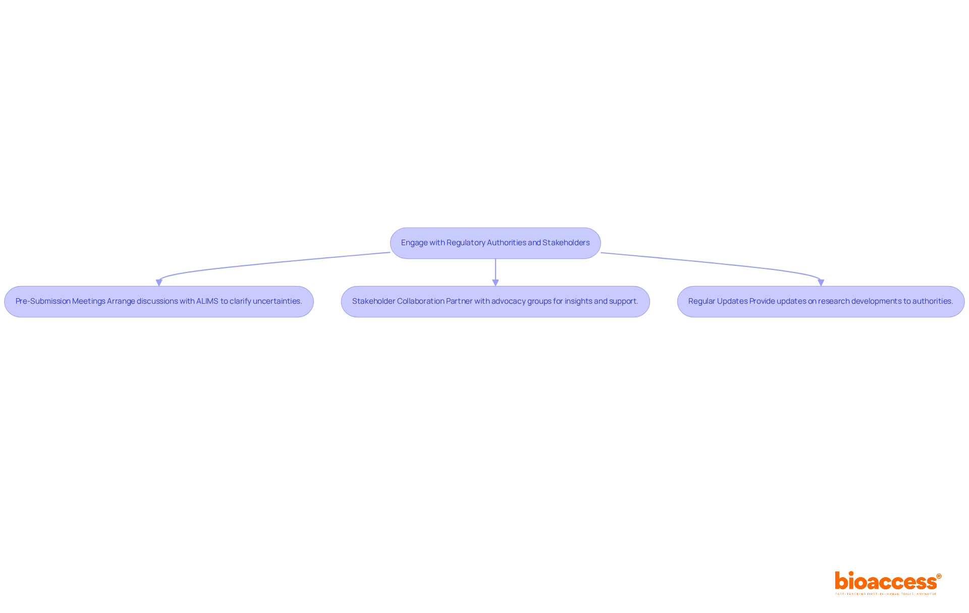 Each box represents a key strategy for engaging with authorities and stakeholders. Follow the arrows to see how these strategies connect to enhance your application process. Each box represents a key strategy for engaging with authorities and stakeholders. Follow the arrows to see how these strategies connect to enhance your application process.