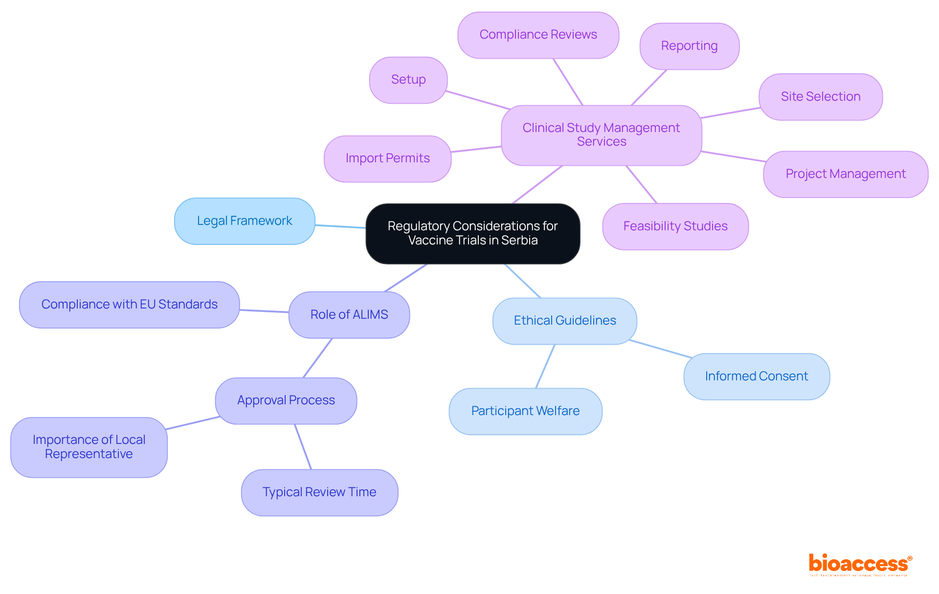 The central node represents the main topic, while the branches show different aspects of regulatory considerations. Each color-coded branch helps you see how various elements connect to the overall framework. The central node represents the main topic, while the branches show different aspects of regulatory considerations. Each color-coded branch helps you see how various elements connect to the overall framework.