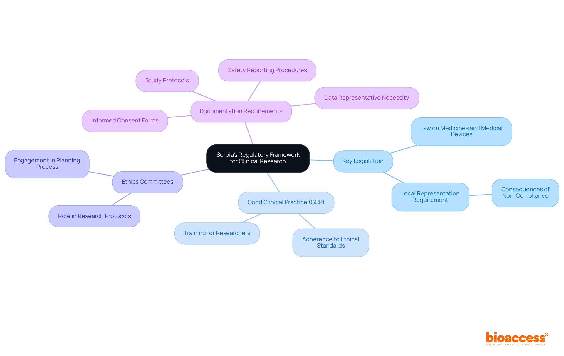 The central node represents the overall framework, while the branches show the key components that researchers need to understand. Each sub-branch provides additional details about each component, helping you navigate the regulatory landscape.