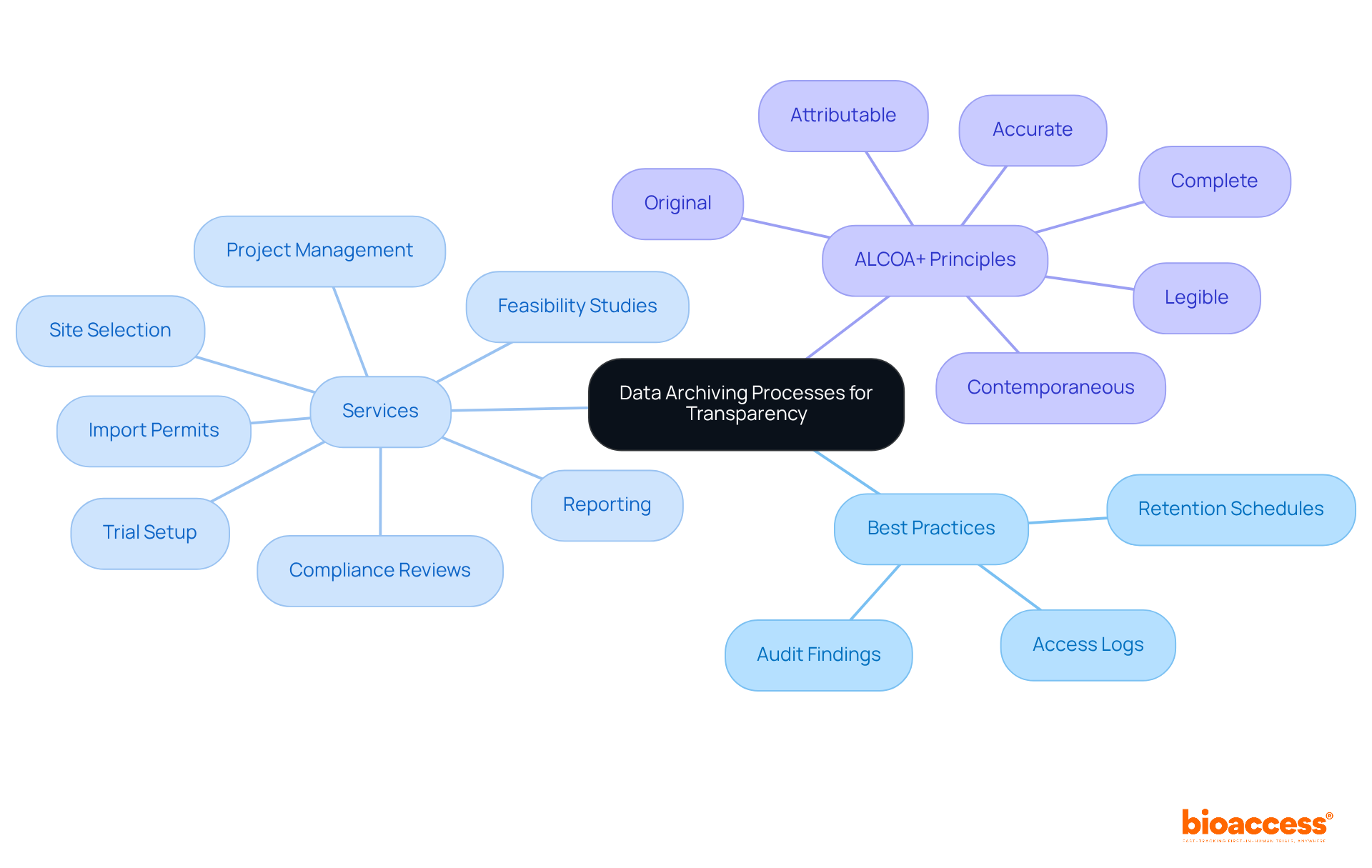 The central node represents the main focus on transparency in data archiving. Each branch shows different aspects of the process, including best practices, services offered, and key principles that enhance documentation integrity.