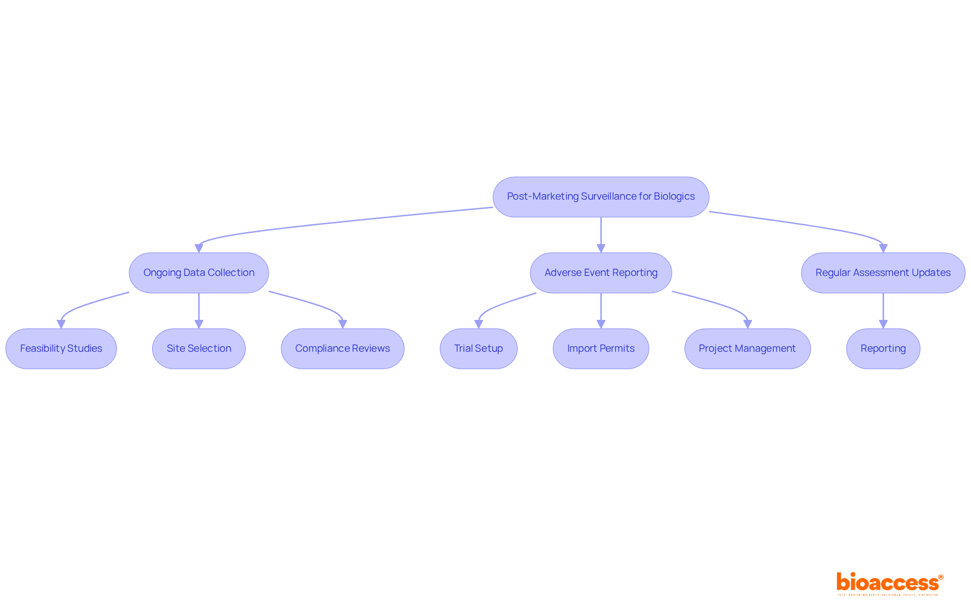 This flowchart outlines the steps involved in monitoring biologics after approval. Each box represents a key activity, and the arrows show how they connect to ensure comprehensive safety oversight.