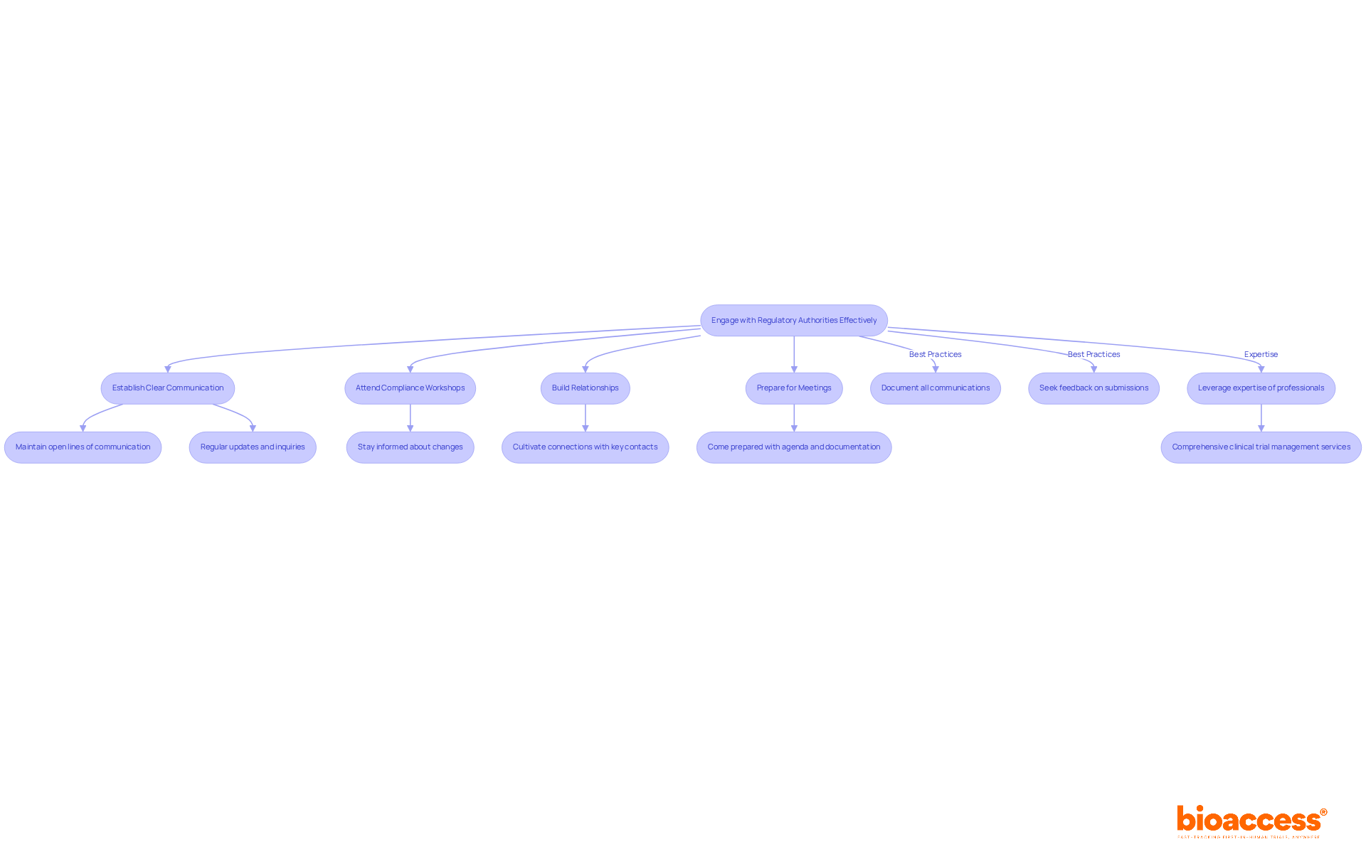 Each box represents a strategy or best practice for engaging with regulatory authorities. Follow the arrows to see how each strategy contributes to effective engagement. Each box represents a strategy or best practice for engaging with regulatory authorities. Follow the arrows to see how each strategy contributes to effective engagement.