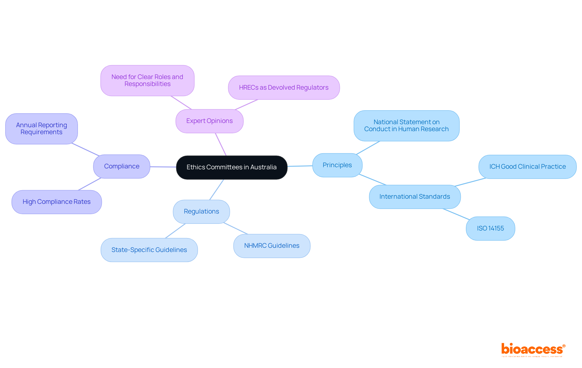 The central node represents the main topic, while branches show related principles and regulations. Each color-coded branch helps you see how different aspects connect to the overall understanding of ethics committees.