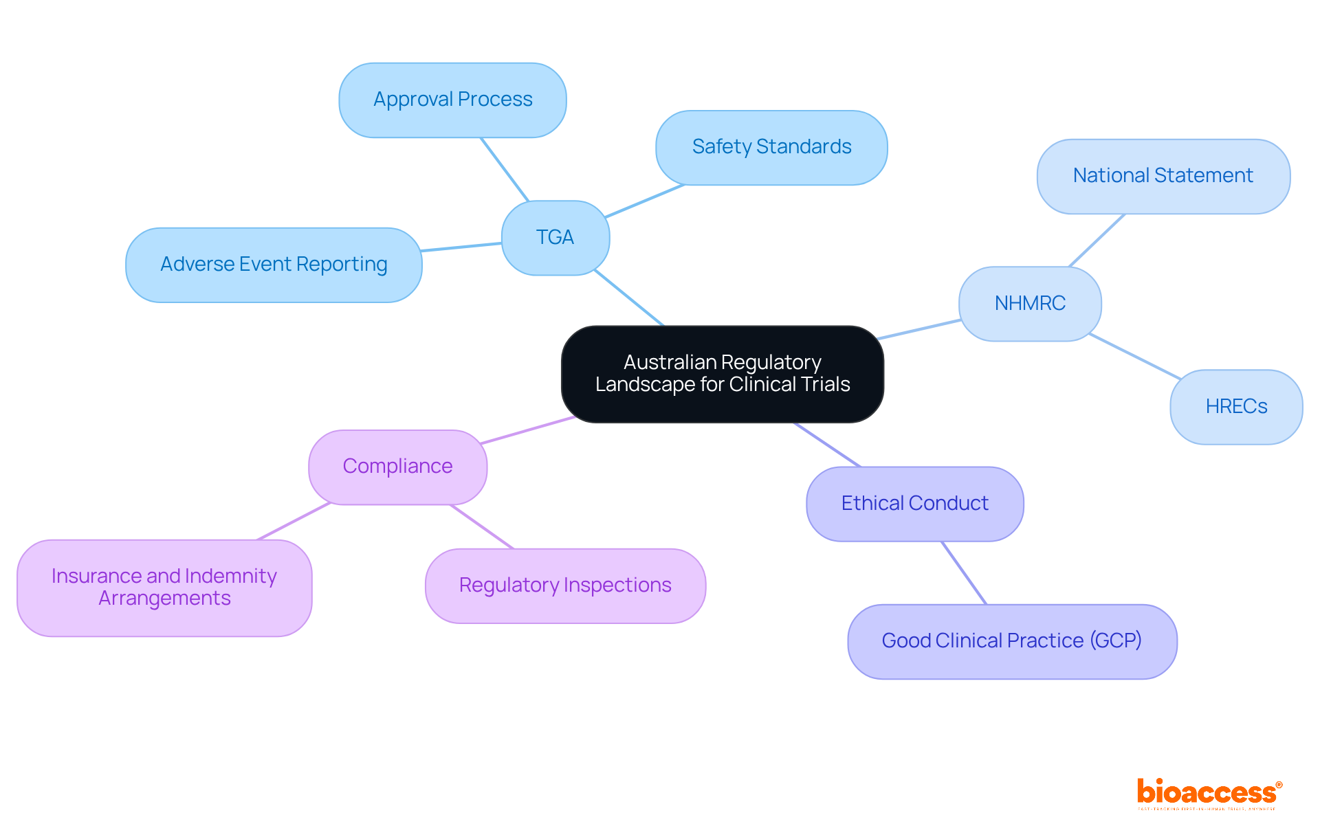 The central node represents the overall regulatory landscape, while branches show key organizations and processes. Each sub-branch details specific responsibilities or guidelines, helping you understand how they connect and contribute to clinical trials.