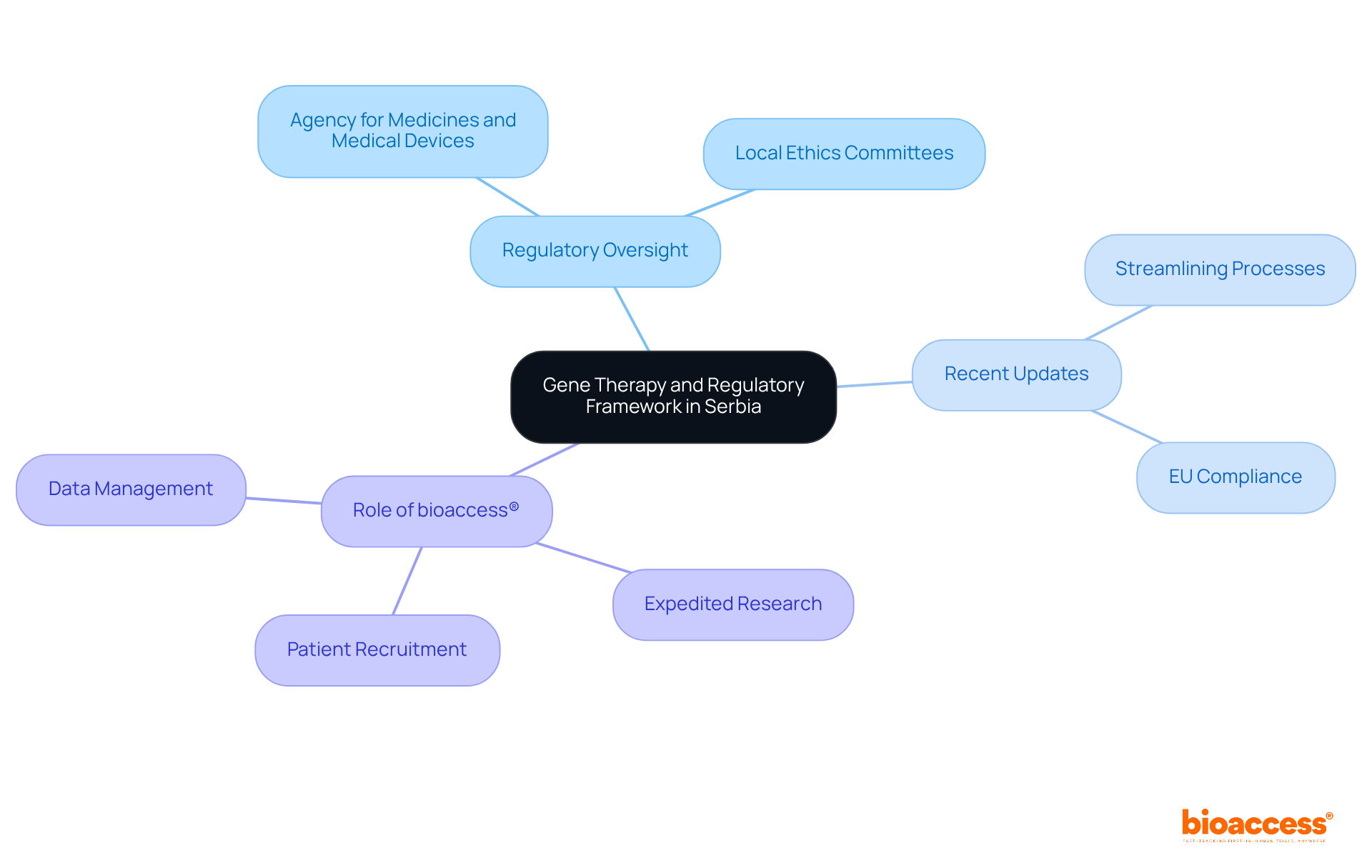The central node represents the main topic, while the branches show different aspects of gene therapy regulation. Each color-coded branch helps you see how various elements connect to the overall framework.
