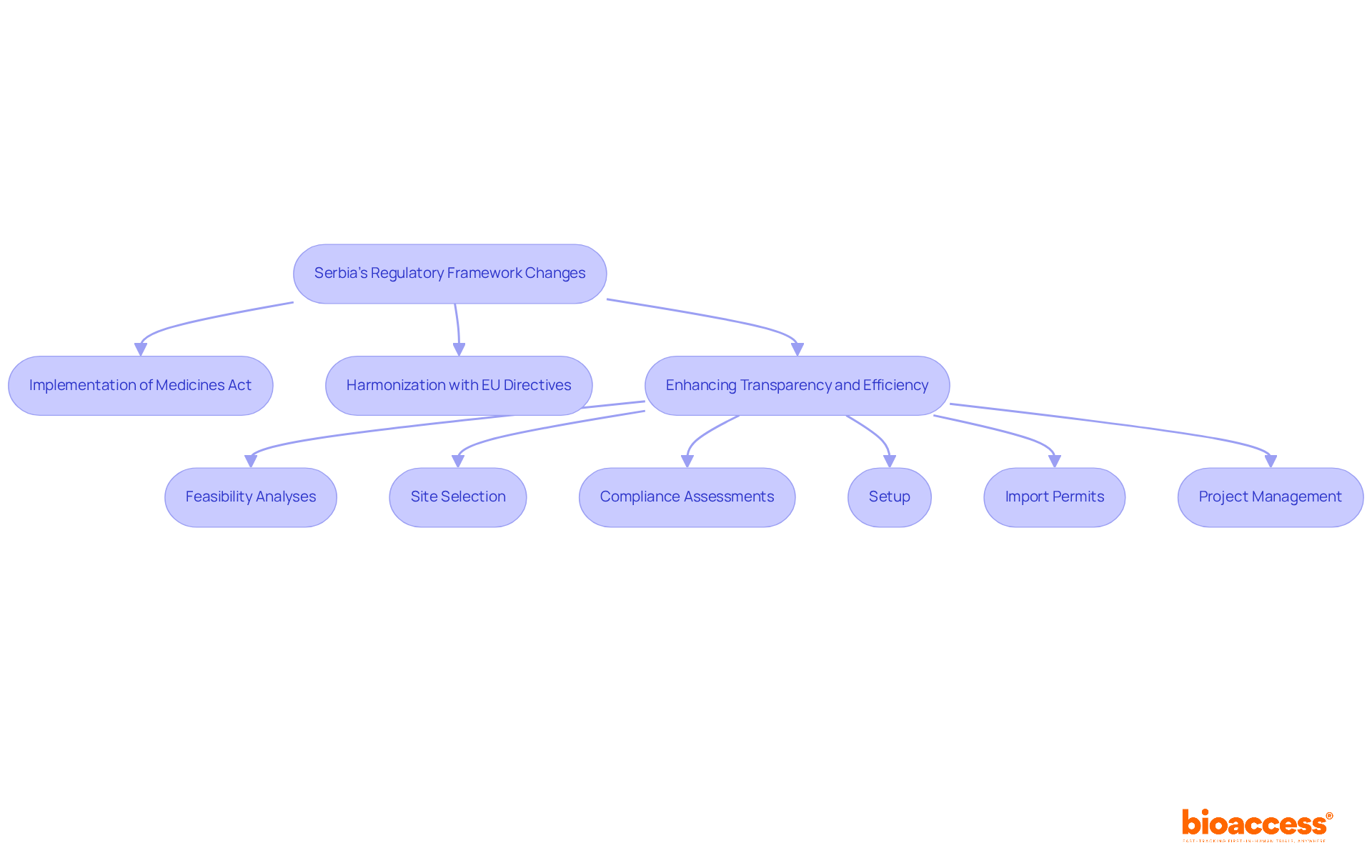 This flowchart outlines the steps Serbia is taking to align its drug approval processes with EU standards. Each box represents a key component or service that contributes to the overall improvement of the regulatory environment.