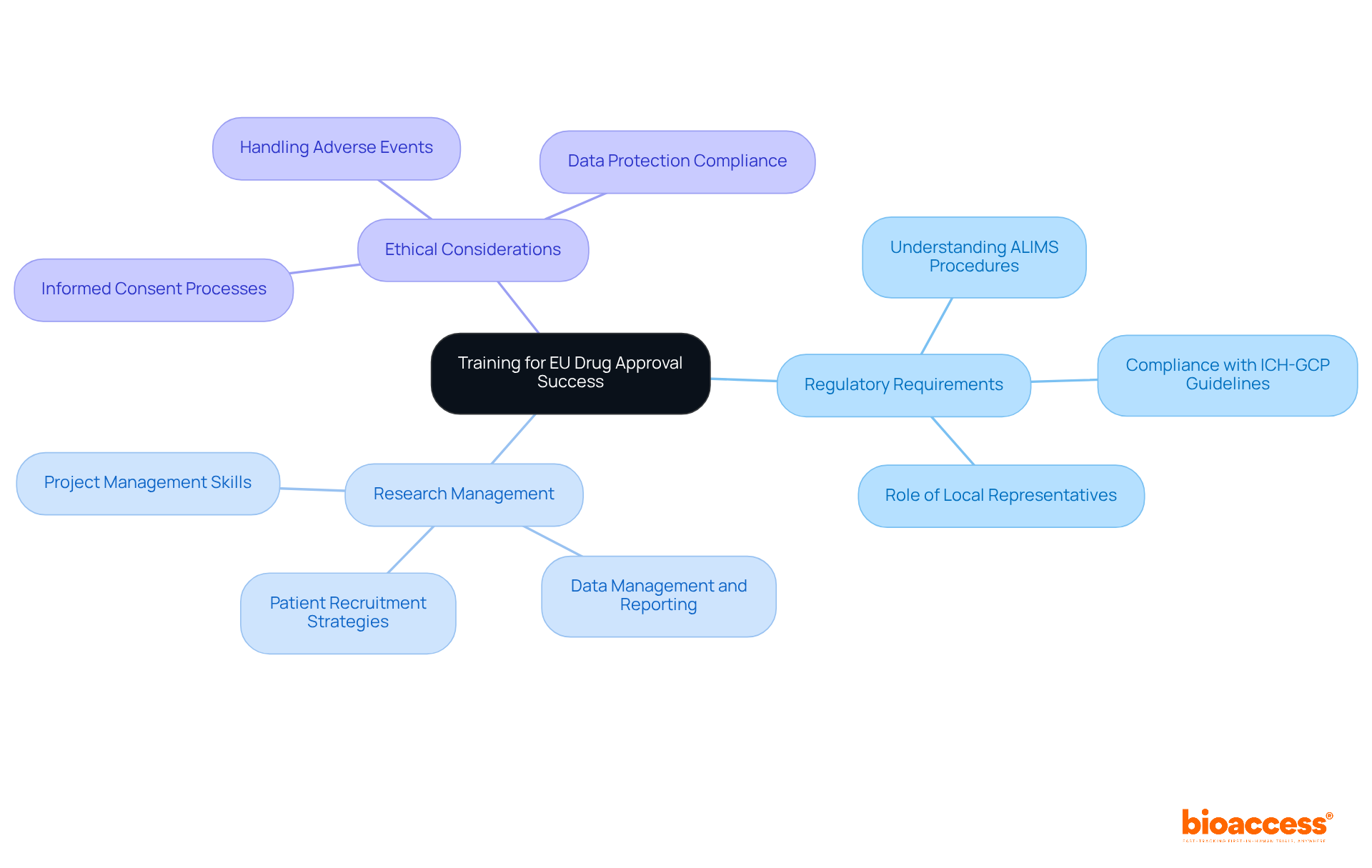The central node represents the overall goal of training for drug approval success, while the branches show the key areas of focus that contribute to achieving this goal.