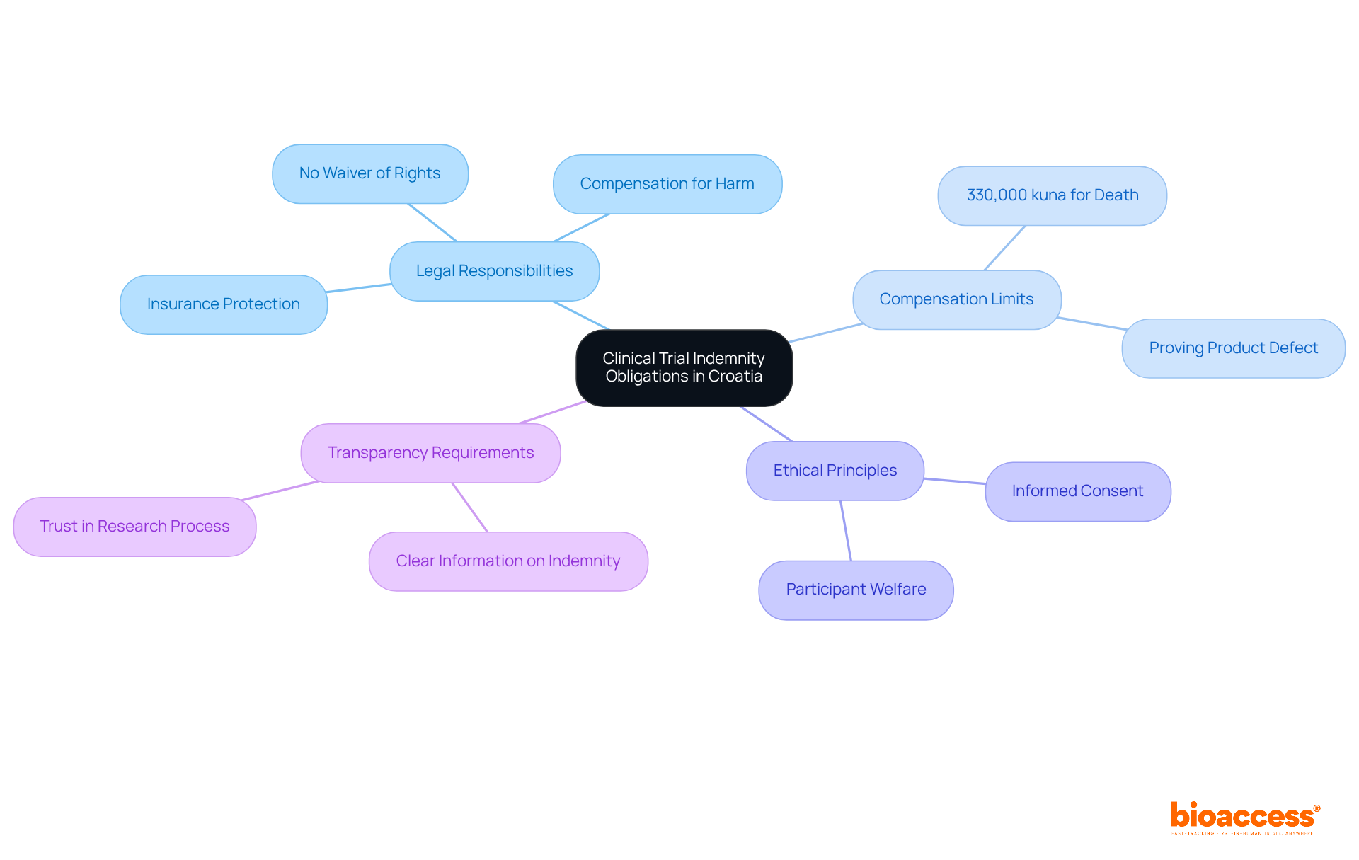 The central node represents the main topic, while branches show related areas of responsibility and requirements. Each color-coded branch helps you see how different aspects of indemnity obligations connect to the overall framework. The central node represents the main topic, while branches show related areas of responsibility and requirements. Each color-coded branch helps you see how different aspects of indemnity obligations connect to the overall framework.