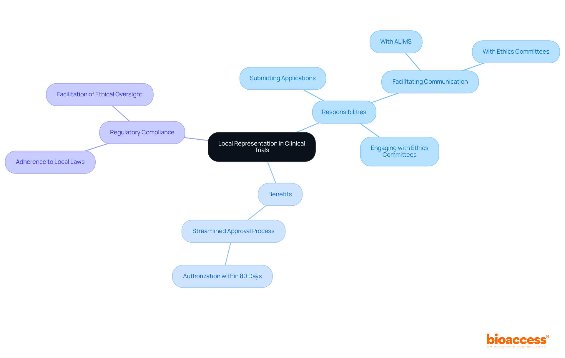 The central node represents the main topic, while branches show the responsibilities and benefits of having a local representative. Each color-coded branch helps you quickly identify different aspects of local representation. The central node represents the main topic, while branches show the responsibilities and benefits of having a local representative. Each color-coded branch helps you quickly identify different aspects of local representation.