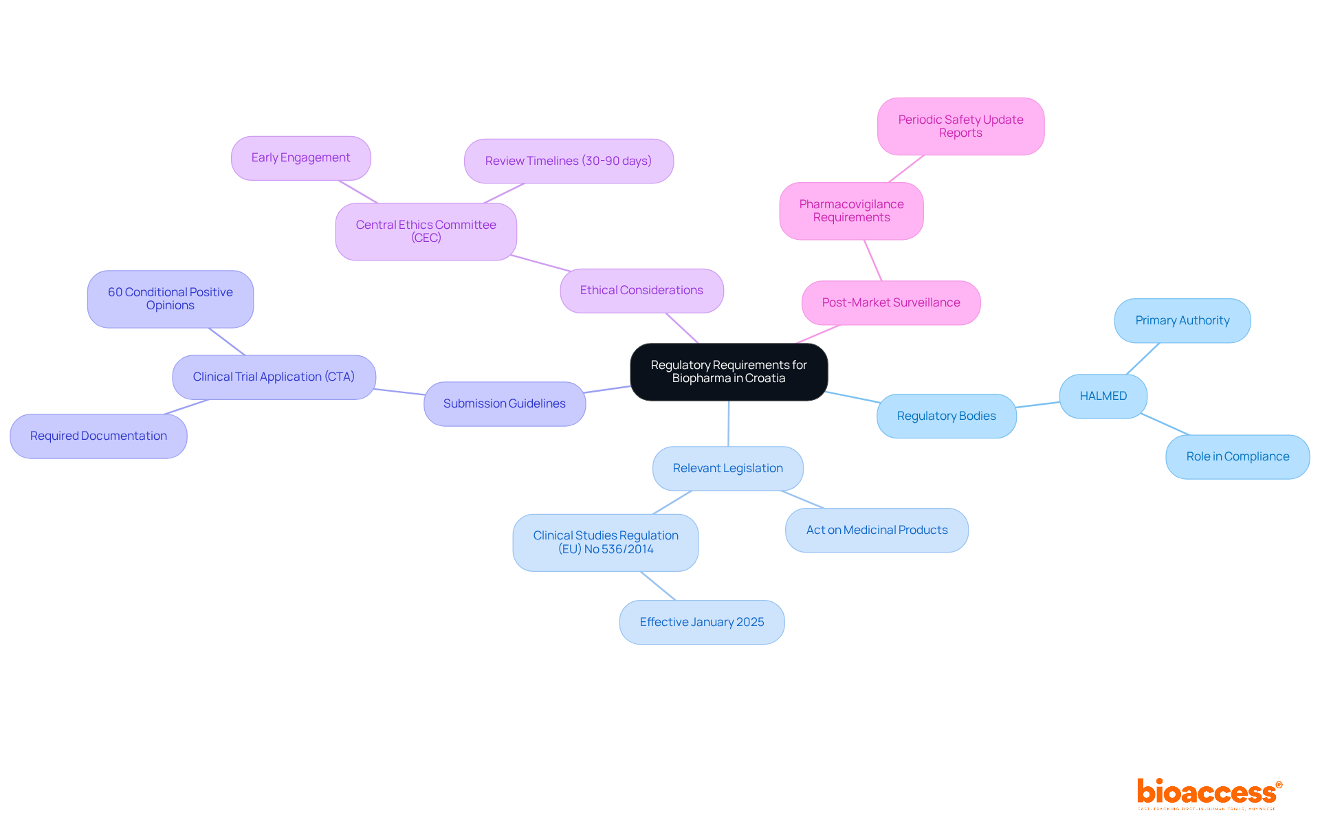 The central node represents the main topic, while the branches show key areas of focus. Each sub-branch provides additional details, helping you understand how each component contributes to the overall regulatory landscape. The central node represents the main topic, while the branches show key areas of focus. Each sub-branch provides additional details, helping you understand how each component contributes to the overall regulatory landscape.