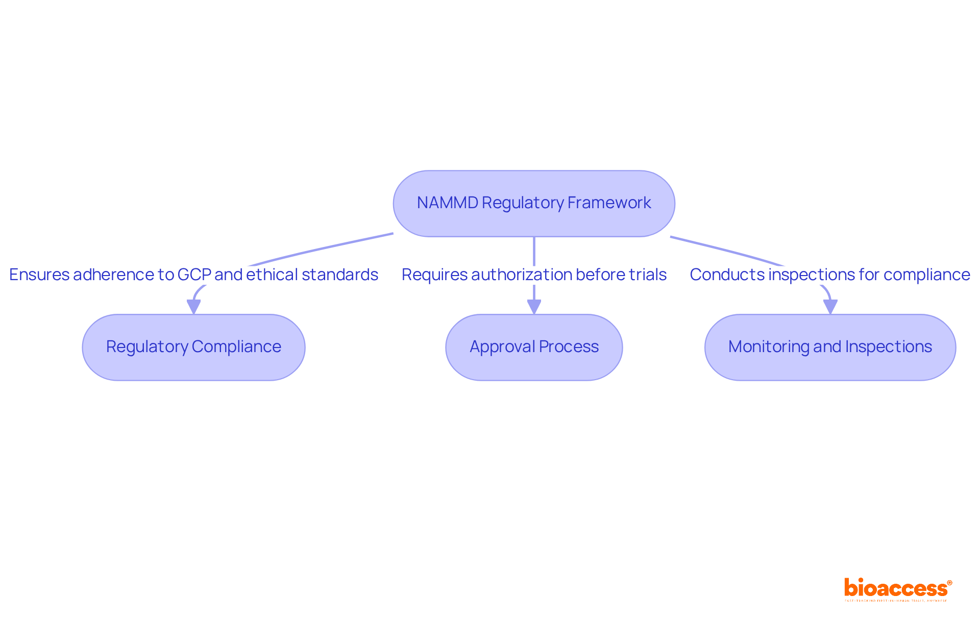 Each box represents a key component of the NAMMD regulatory pathway. Follow the arrows to see how each part connects and contributes to the overall process of conducting drug trials. Each box represents a key component of the NAMMD regulatory pathway. Follow the arrows to see how each part connects and contributes to the overall process of conducting drug trials.