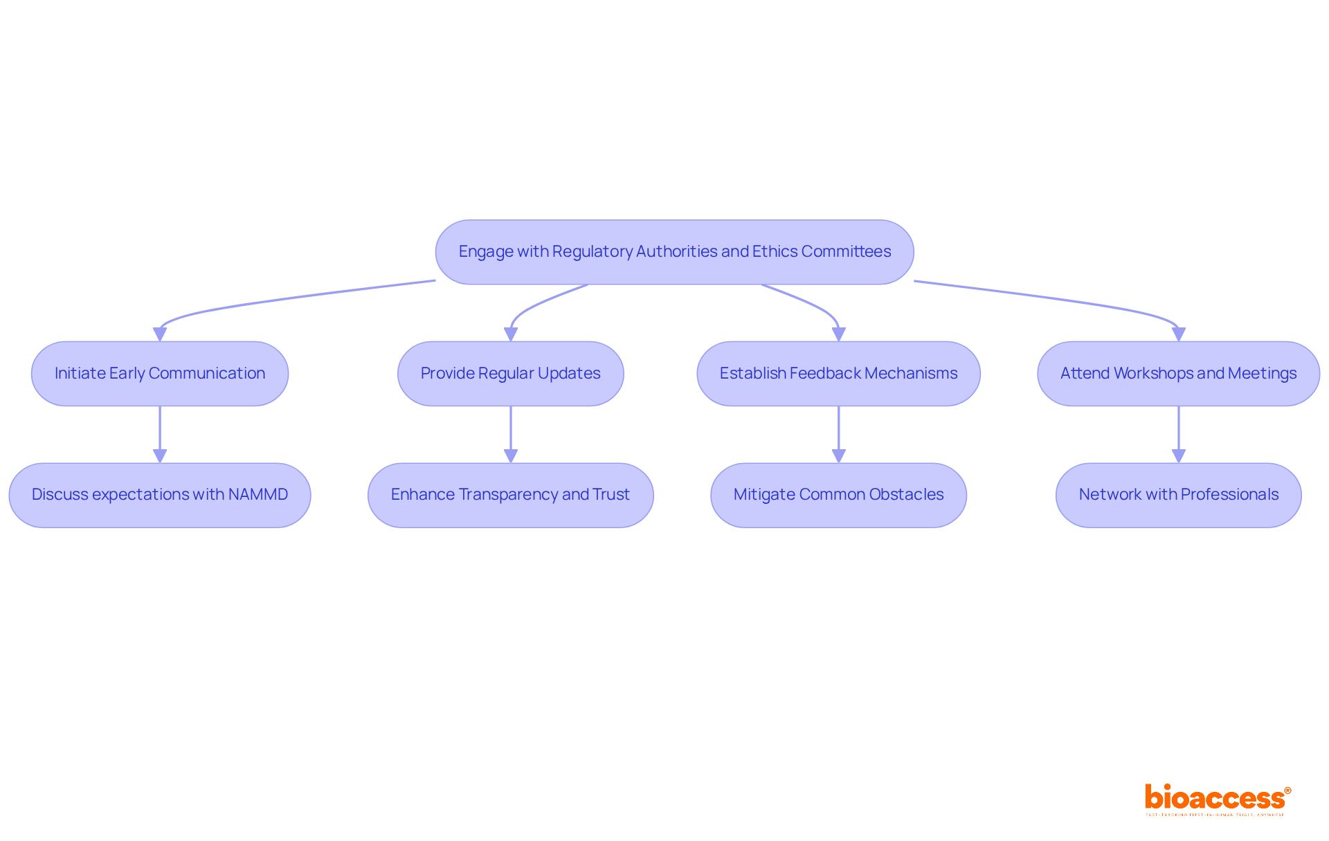 Each box represents a step in the engagement process. Follow the arrows to see how each step connects and leads to the next, ensuring a smooth interaction with regulatory bodies. Each box represents a step in the engagement process. Follow the arrows to see how each step connects and leads to the next, ensuring a smooth interaction with regulatory bodies.