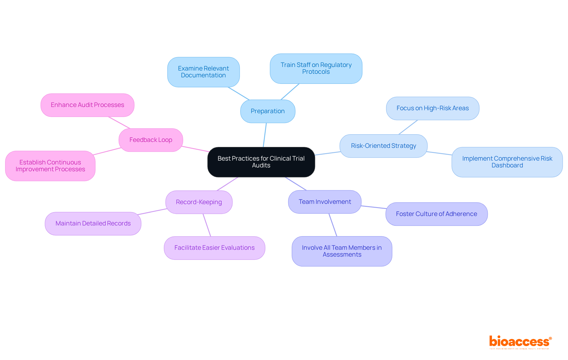 The center represents the main focus of the audit practices, while the branches show different strategies and actions that contribute to successful clinical evaluations. Follow the branches to explore each area in detail.