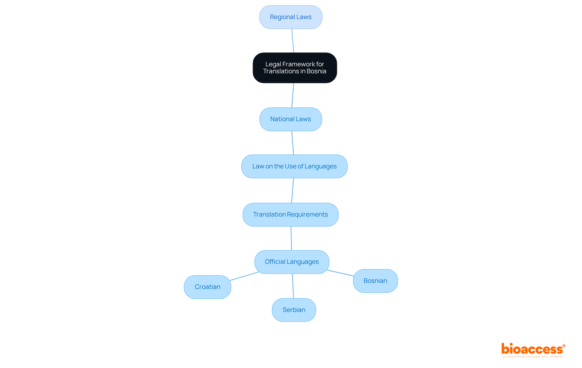 The center represents the overall legal framework, while branches show specific laws and their requirements for translations. Follow the branches to understand how each law impacts translation practices.