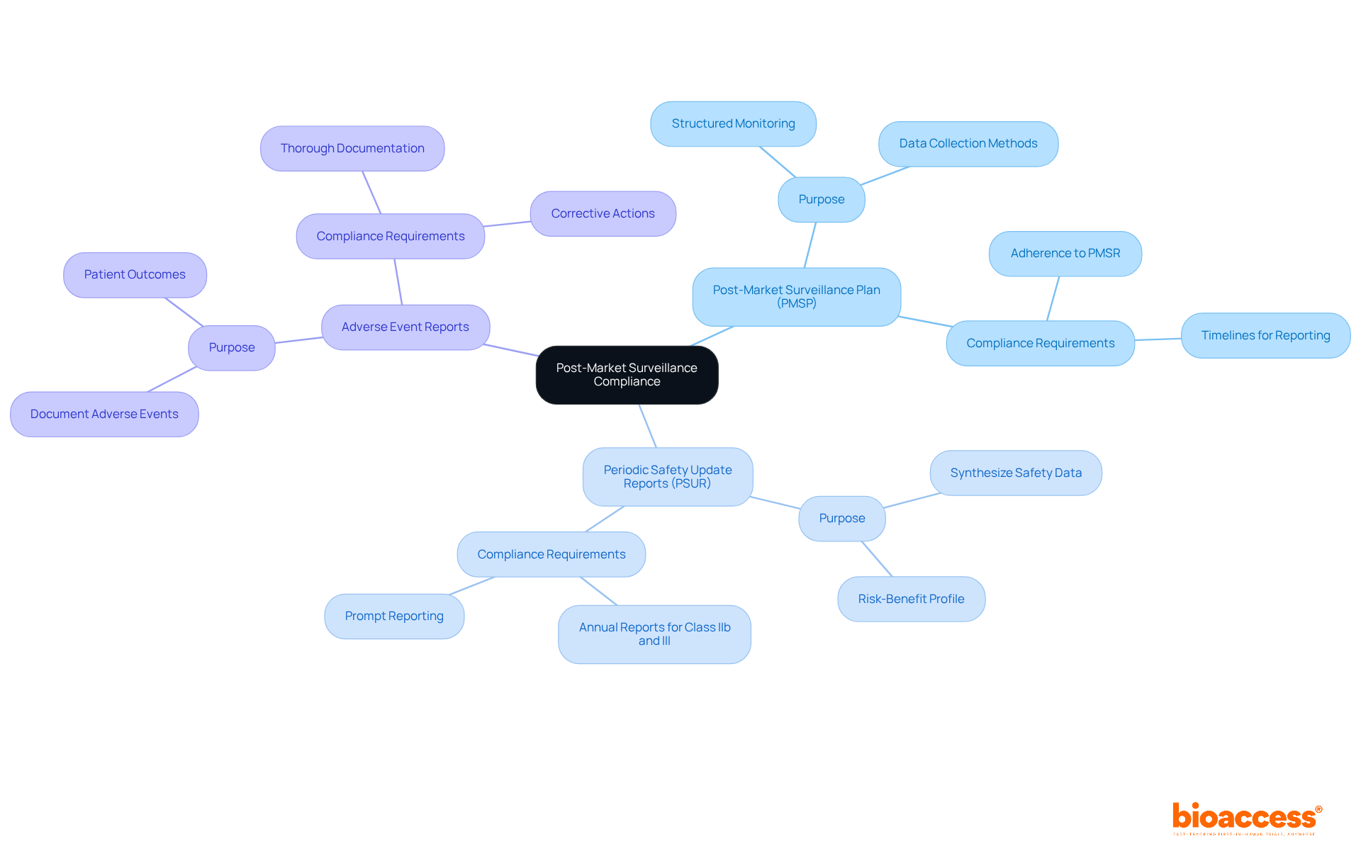The center represents the overall compliance strategy, while the branches show the essential documents needed. Each document's sub-branches provide details on its role and importance in the compliance process.