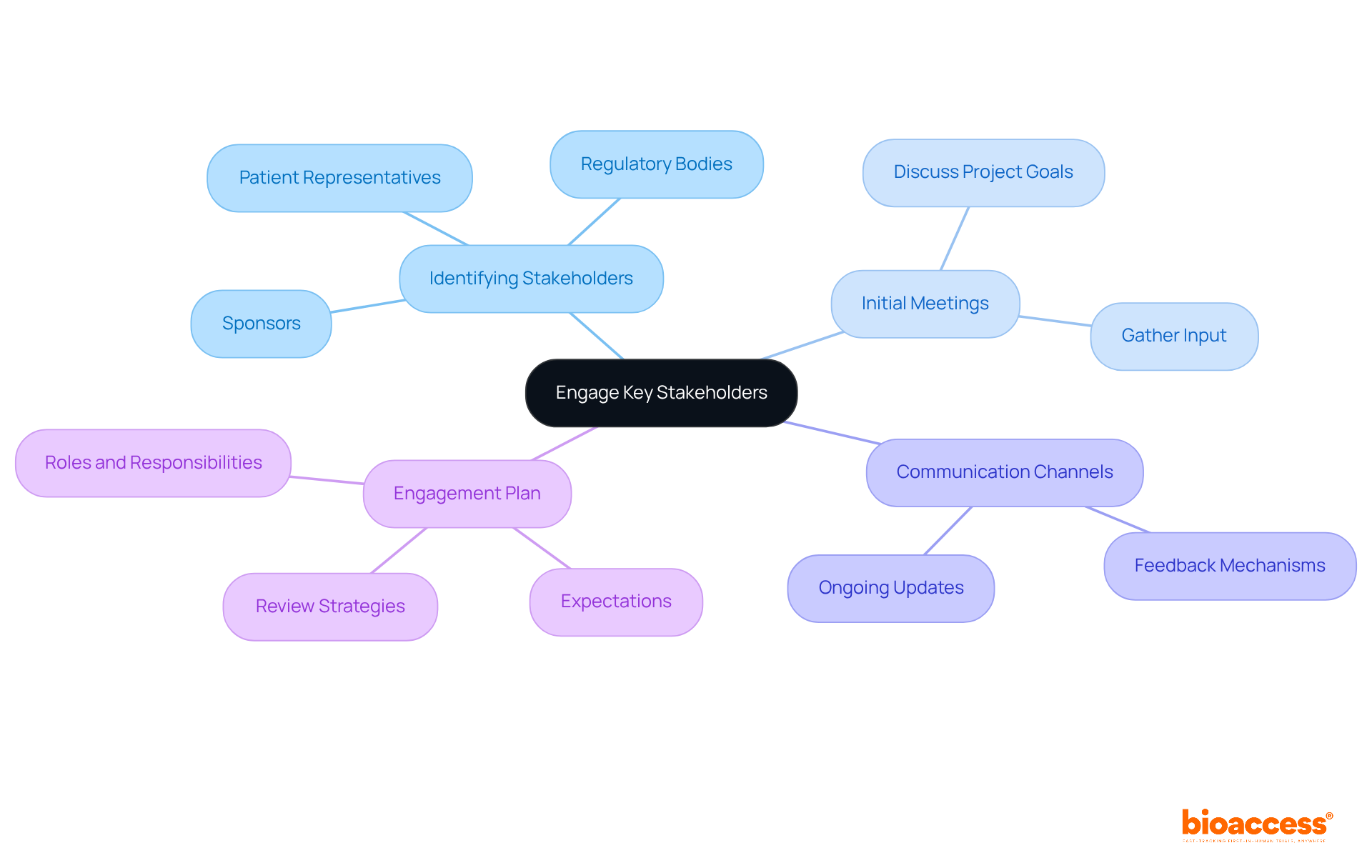 Start at the center with the main idea of engaging stakeholders, then follow the branches to explore each key area and its specific actions. This layout helps visualize how everything connects and supports the overall project.