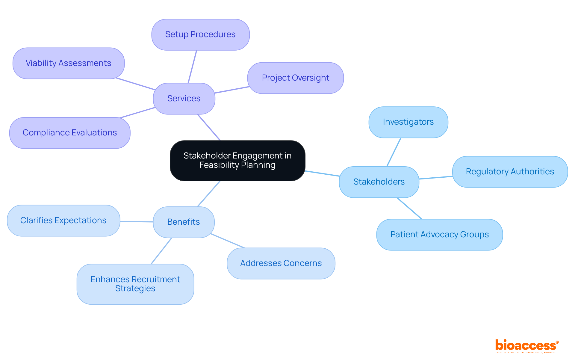 The central node represents the main theme of stakeholder engagement. Each branch shows different aspects: stakeholders involved, benefits of engagement, and services that support the process. Follow the branches to see how they connect and contribute to effective feasibility planning.