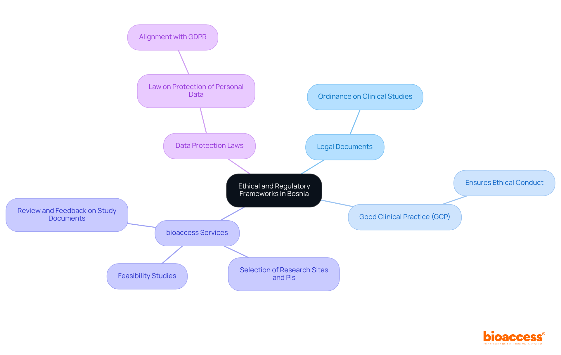 The central node represents the main topic, while branches show related areas like laws, guidelines, and services. Each color-coded branch helps you see how different aspects connect to the overall framework.